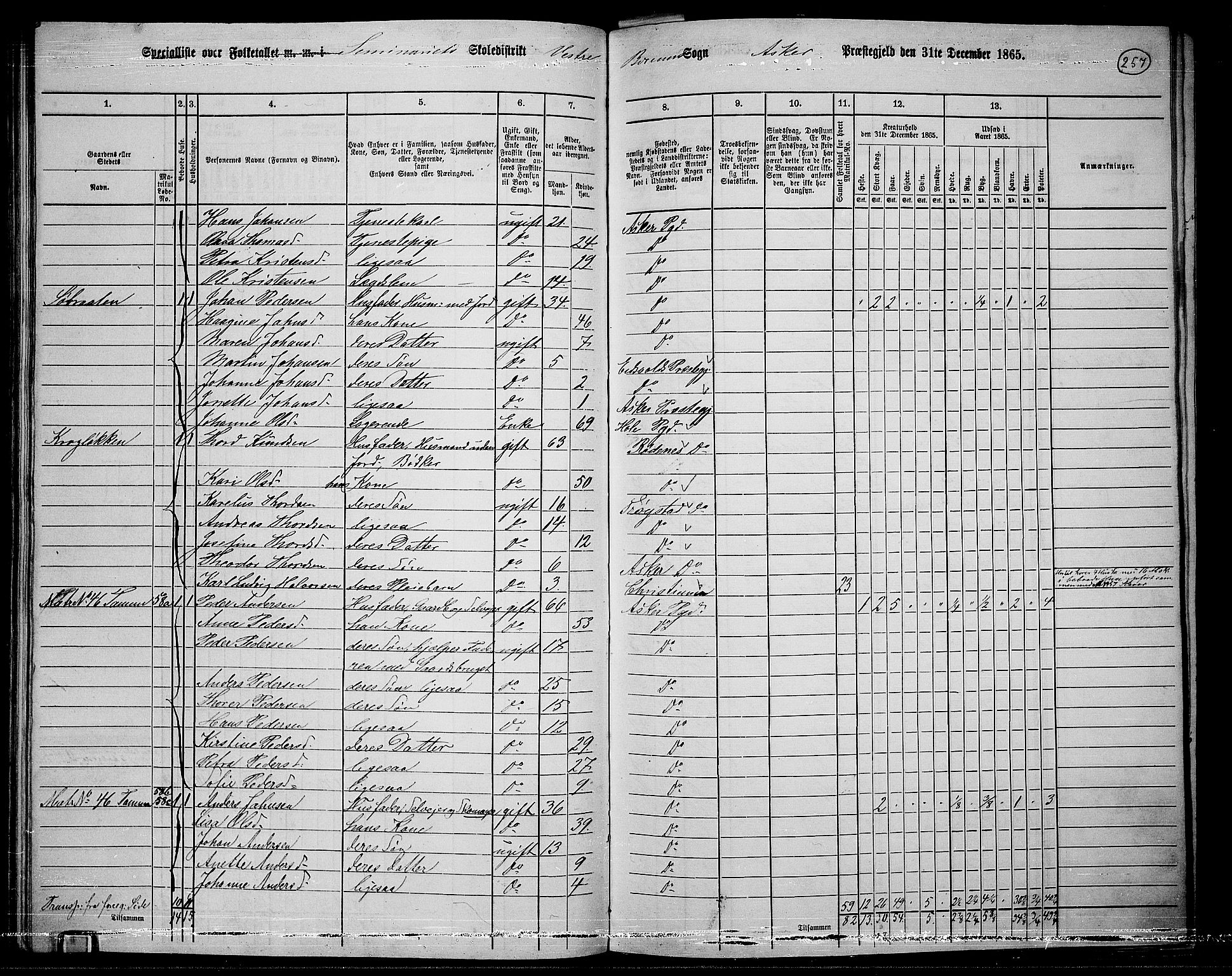 RA, 1865 census for Asker, 1865, p. 245