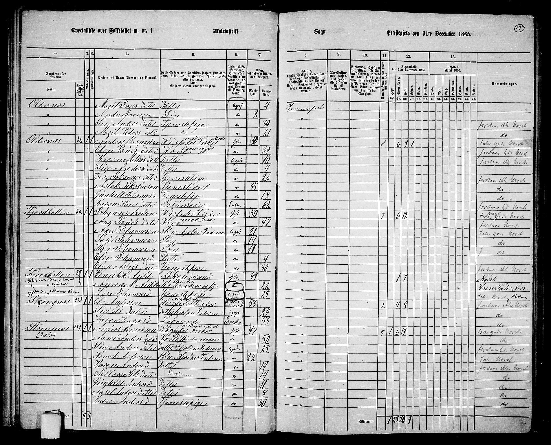RA, 1865 census for Hammerfest/Hammerfest, 1865, p. 18