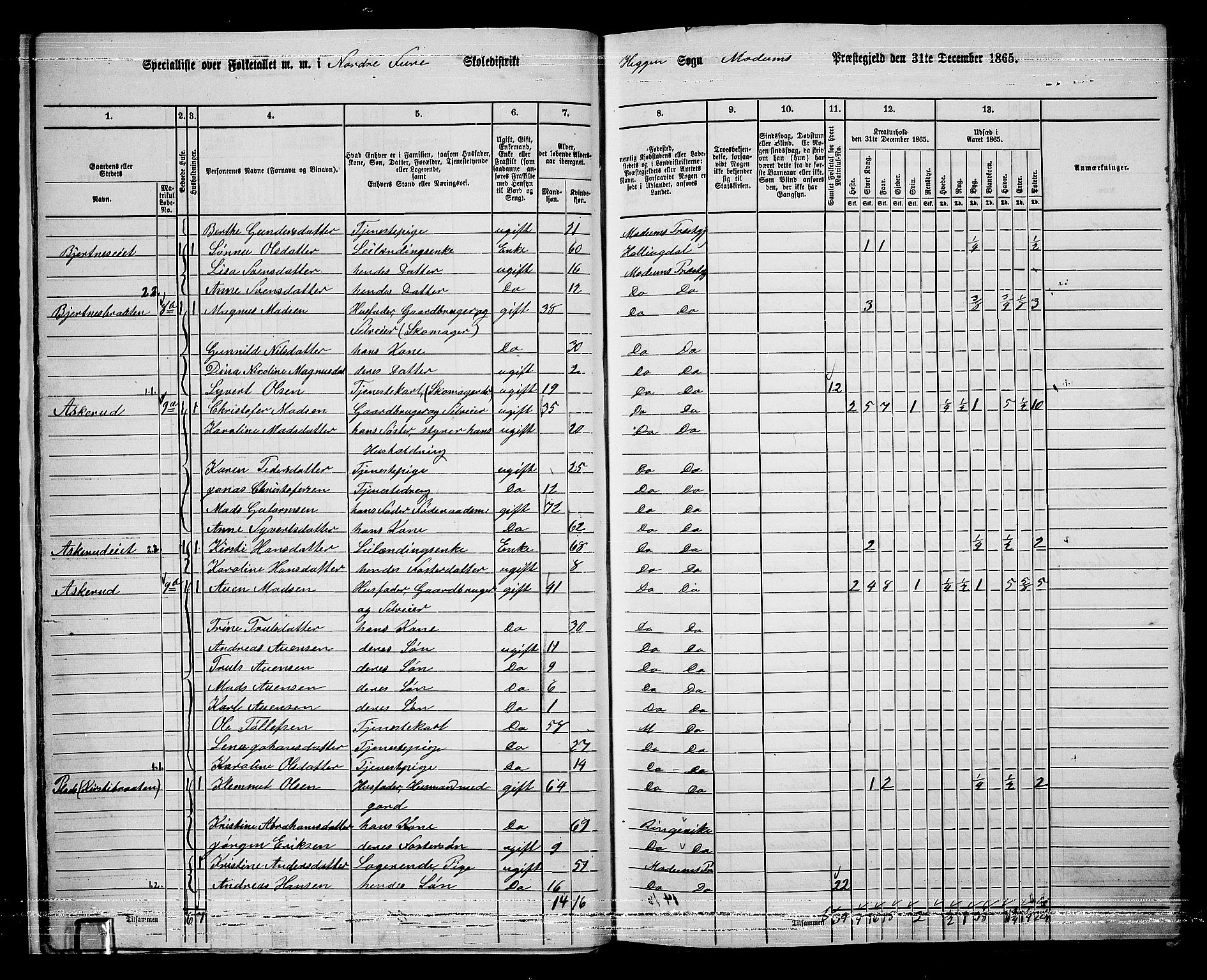 RA, 1865 census for Modum, 1865, p. 24