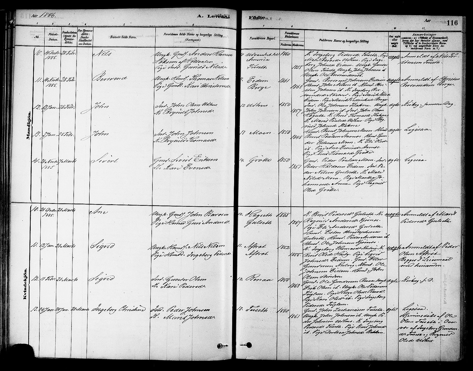 Ministerialprotokoller, klokkerbøker og fødselsregistre - Sør-Trøndelag, AV/SAT-A-1456/695/L1148: Parish register (official) no. 695A08, 1878-1891, p. 116