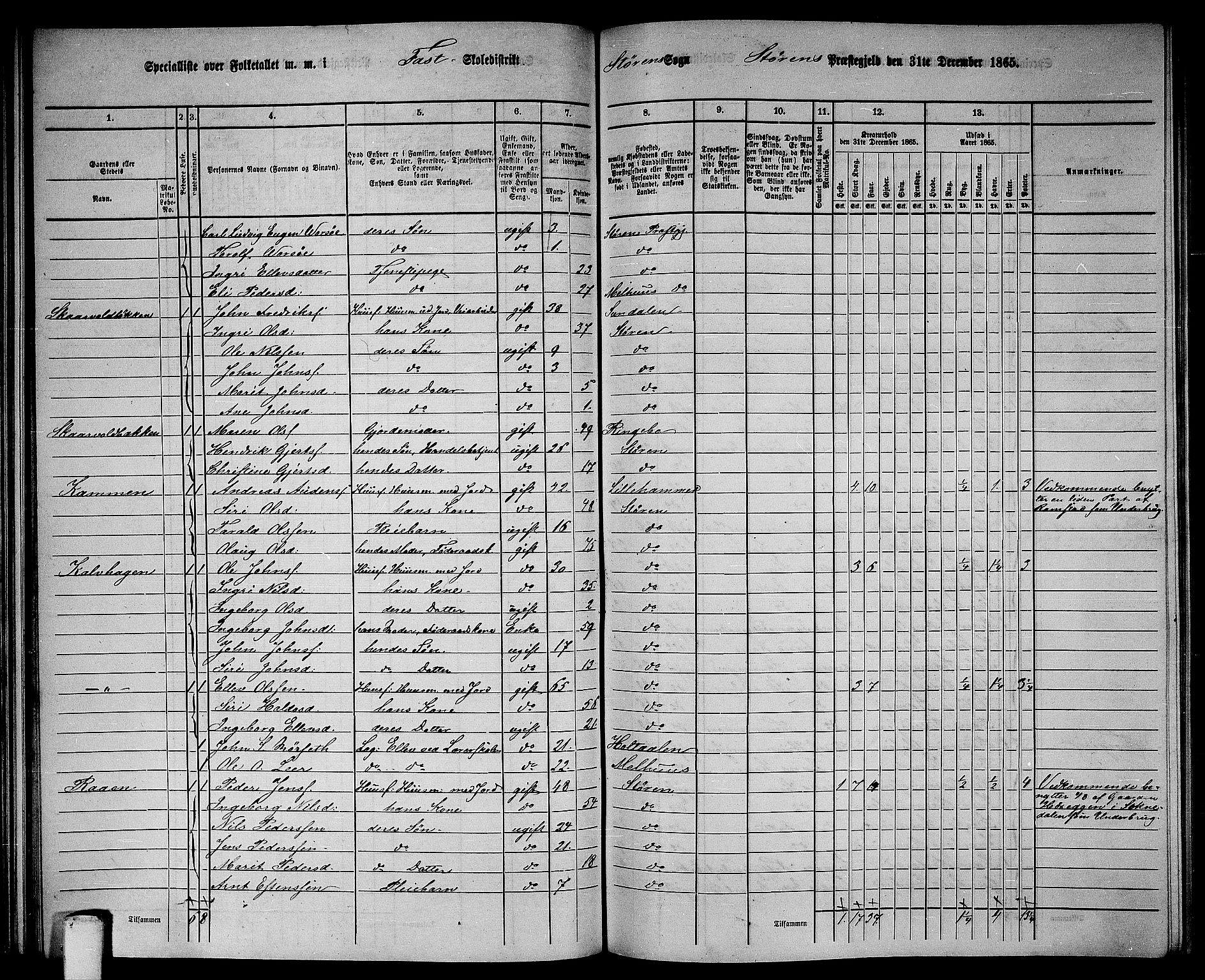 RA, 1865 census for Støren, 1865, p. 94