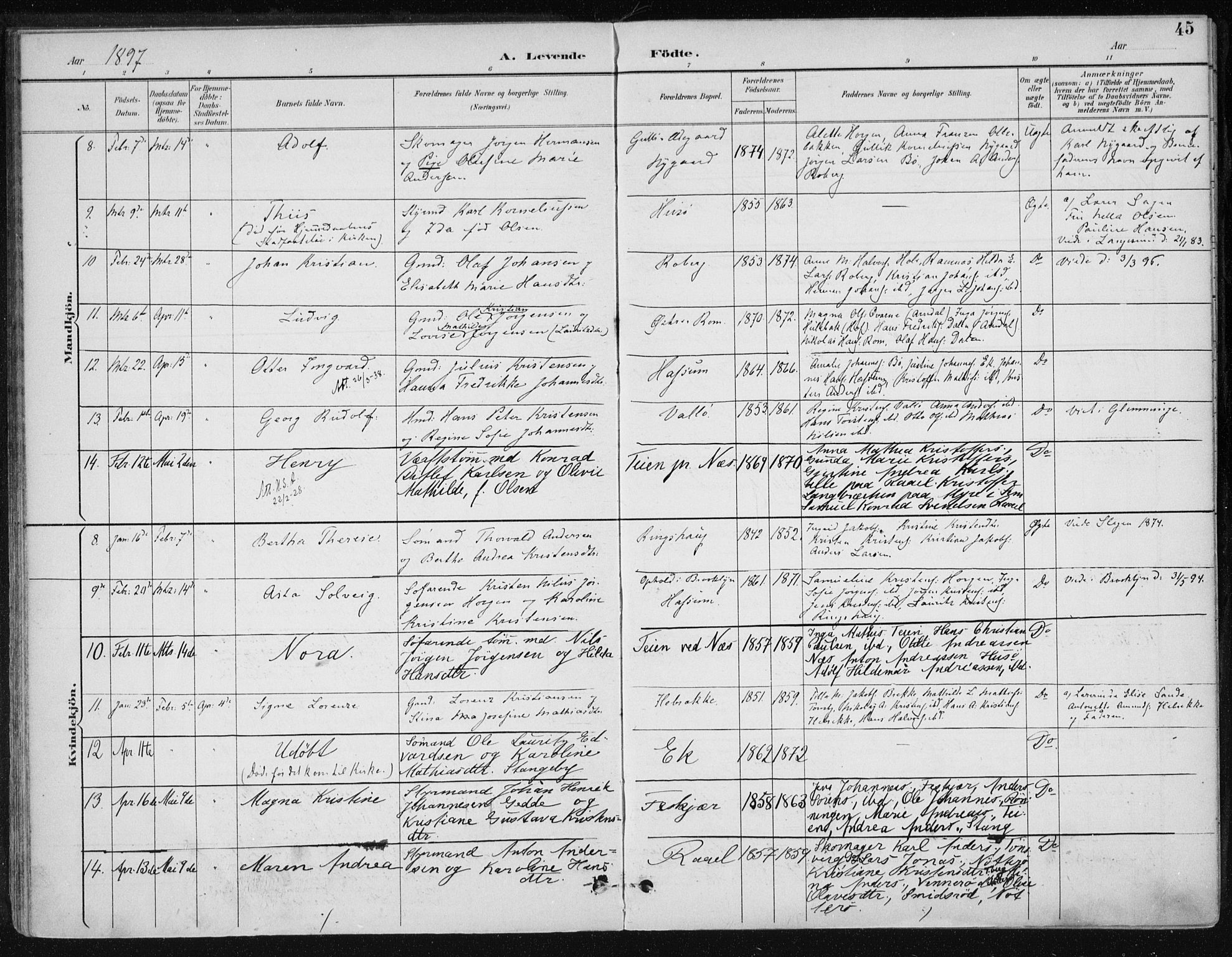 Sem kirkebøker, AV/SAKO-A-5/F/Fb/L0005: Parish register (official) no. II 5, 1892-1904, p. 45