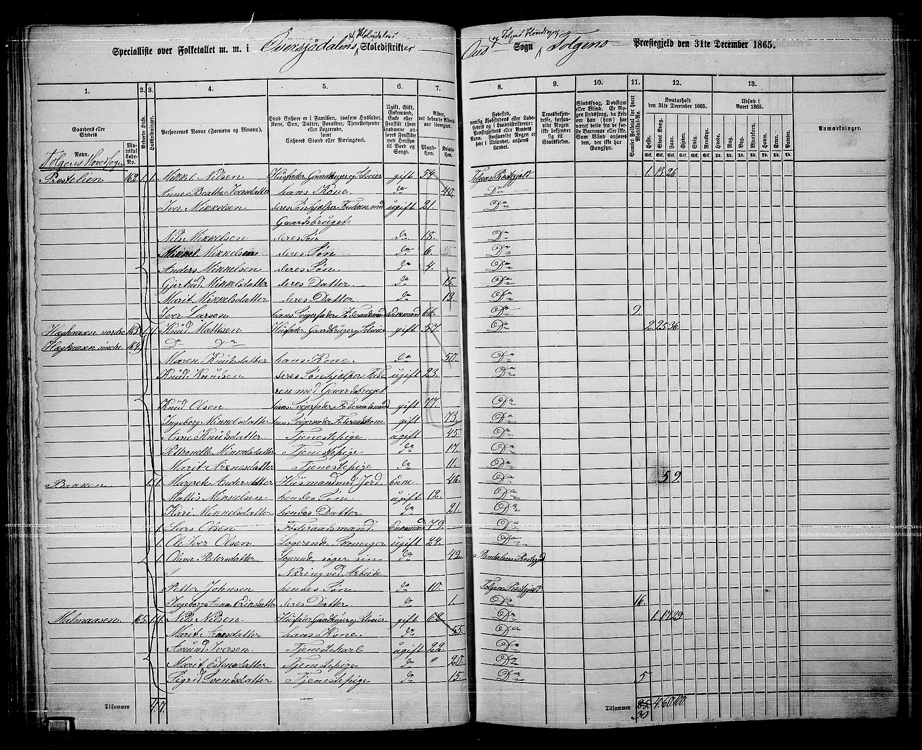 RA, 1865 census for Tolga, 1865, p. 78