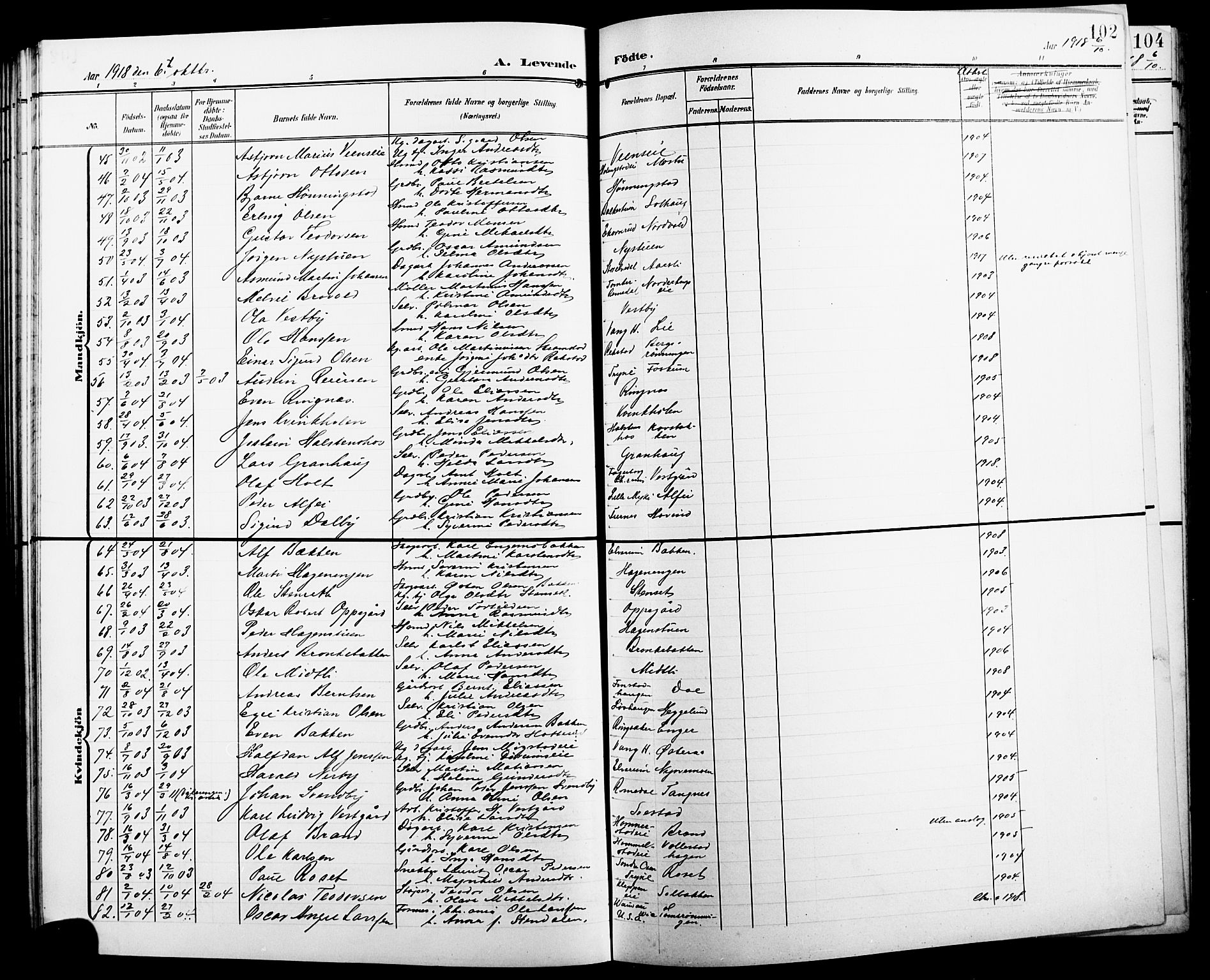 Løten prestekontor, AV/SAH-PREST-022/L/La/L0007: Parish register (copy) no. 7, 1910-1919, p. 102