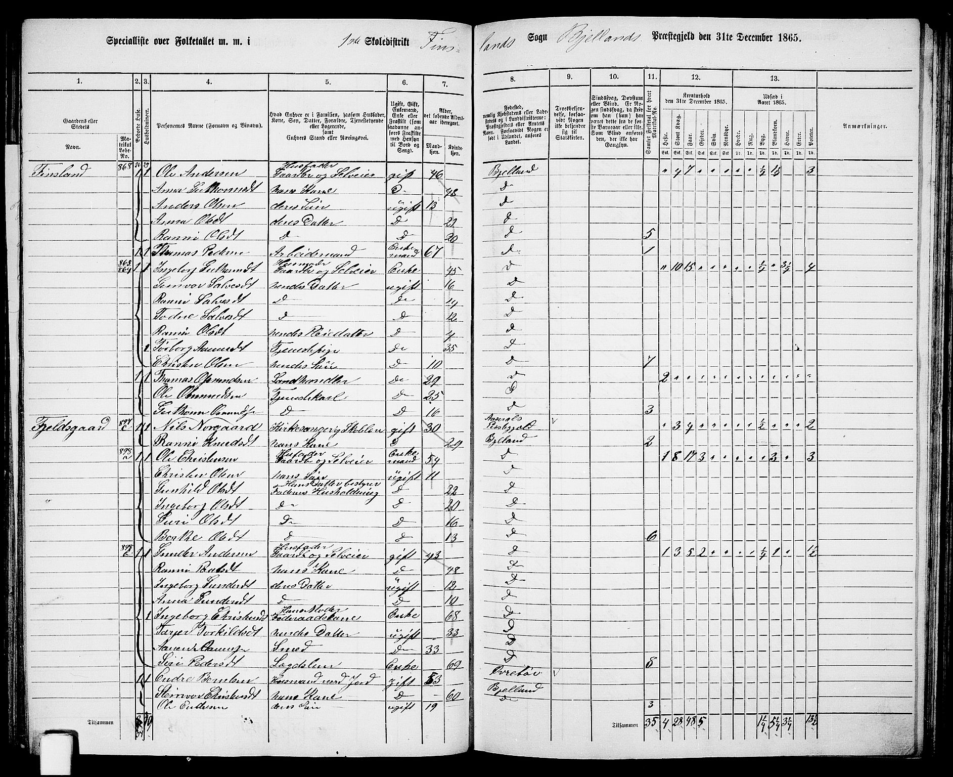RA, 1865 census for Bjelland, 1865, p. 16