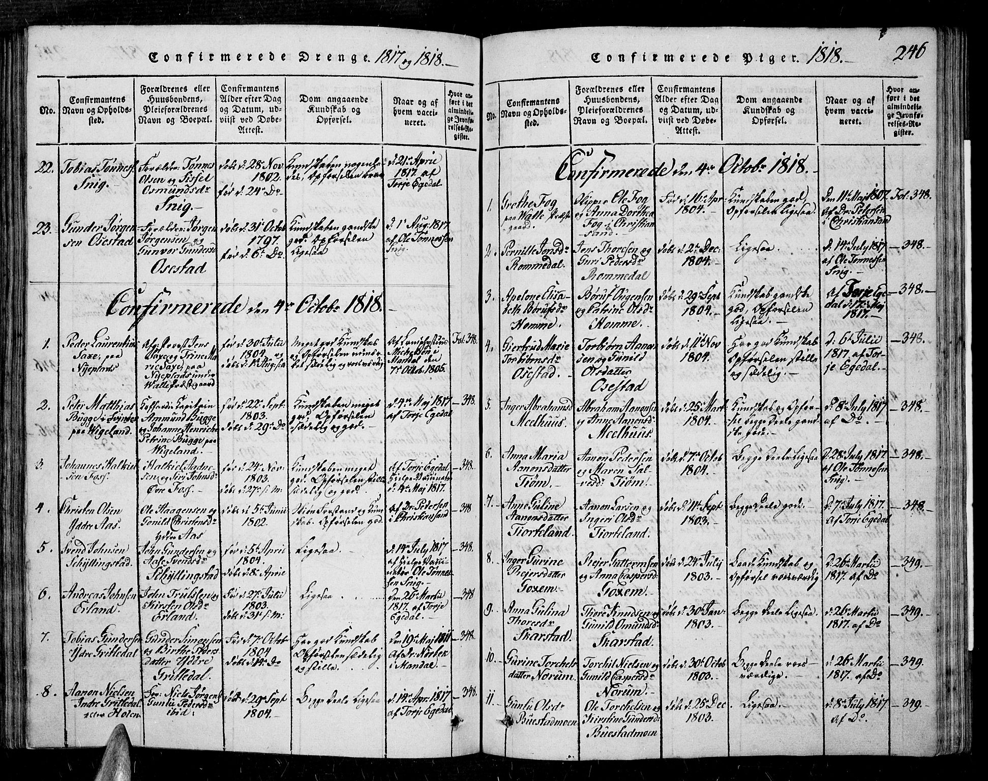 Sør-Audnedal sokneprestkontor, AV/SAK-1111-0039/F/Fa/Fab/L0005: Parish register (official) no. A 5, 1816-1830, p. 246