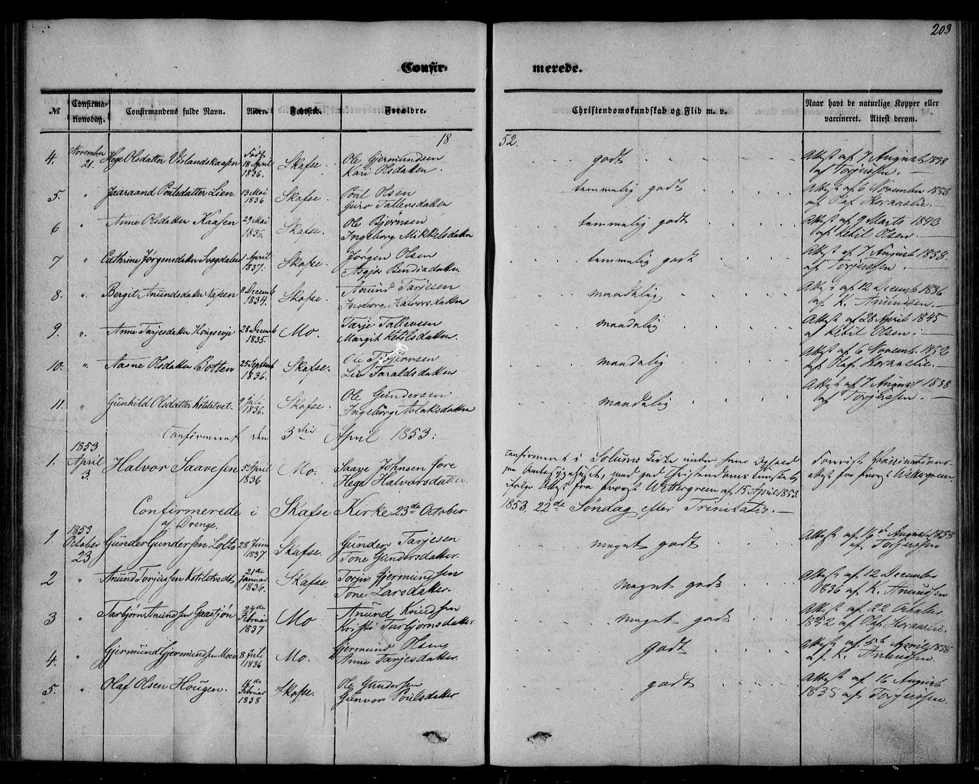 Mo kirkebøker, SAKO/A-286/F/Fa/L0005: Parish register (official) no. I 5, 1844-1864, p. 203