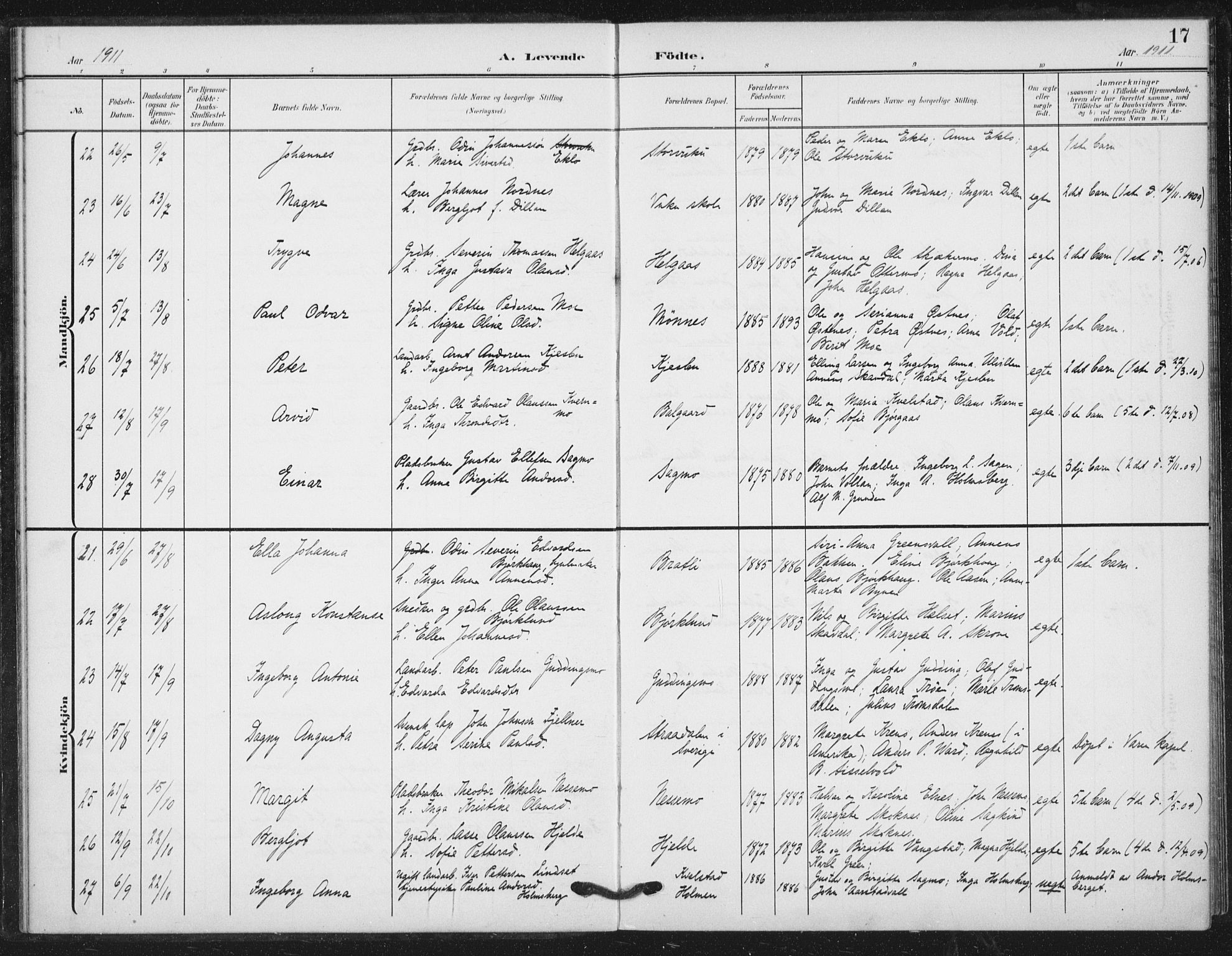 Ministerialprotokoller, klokkerbøker og fødselsregistre - Nord-Trøndelag, AV/SAT-A-1458/724/L0264: Parish register (official) no. 724A02, 1908-1915, p. 17