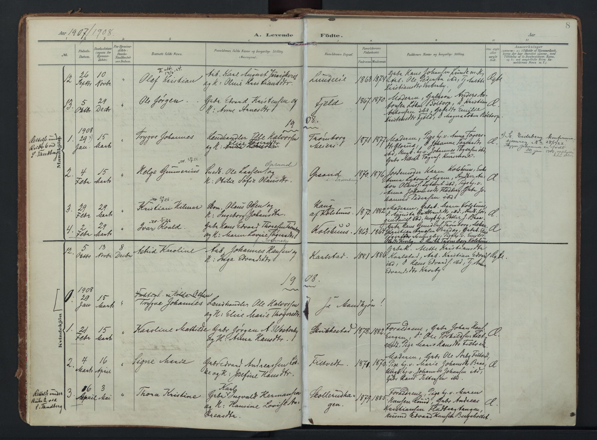 Eidsberg prestekontor Kirkebøker, SAO/A-10905/F/Fc/L0002: Parish register (official) no. III 2, 1906-1934, p. 8