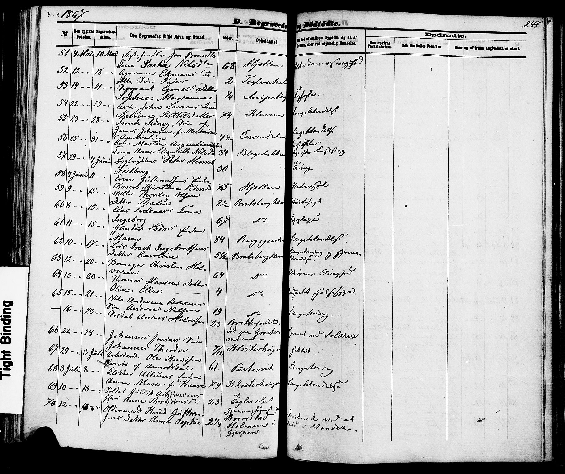 Skien kirkebøker, SAKO/A-302/F/Fa/L0008: Parish register (official) no. 8, 1866-1877, p. 247