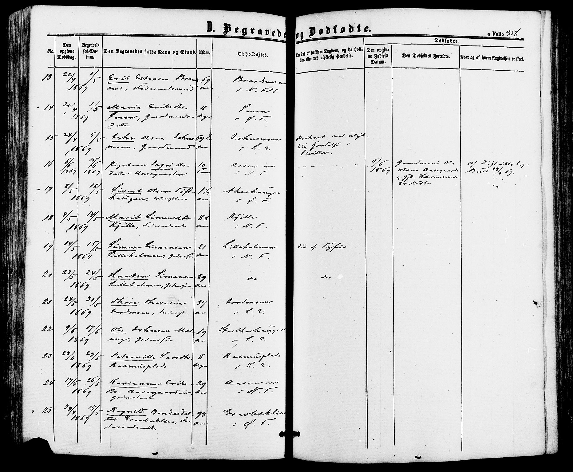 Alvdal prestekontor, SAH/PREST-060/H/Ha/Haa/L0001: Parish register (official) no. 1, 1863-1882, p. 356