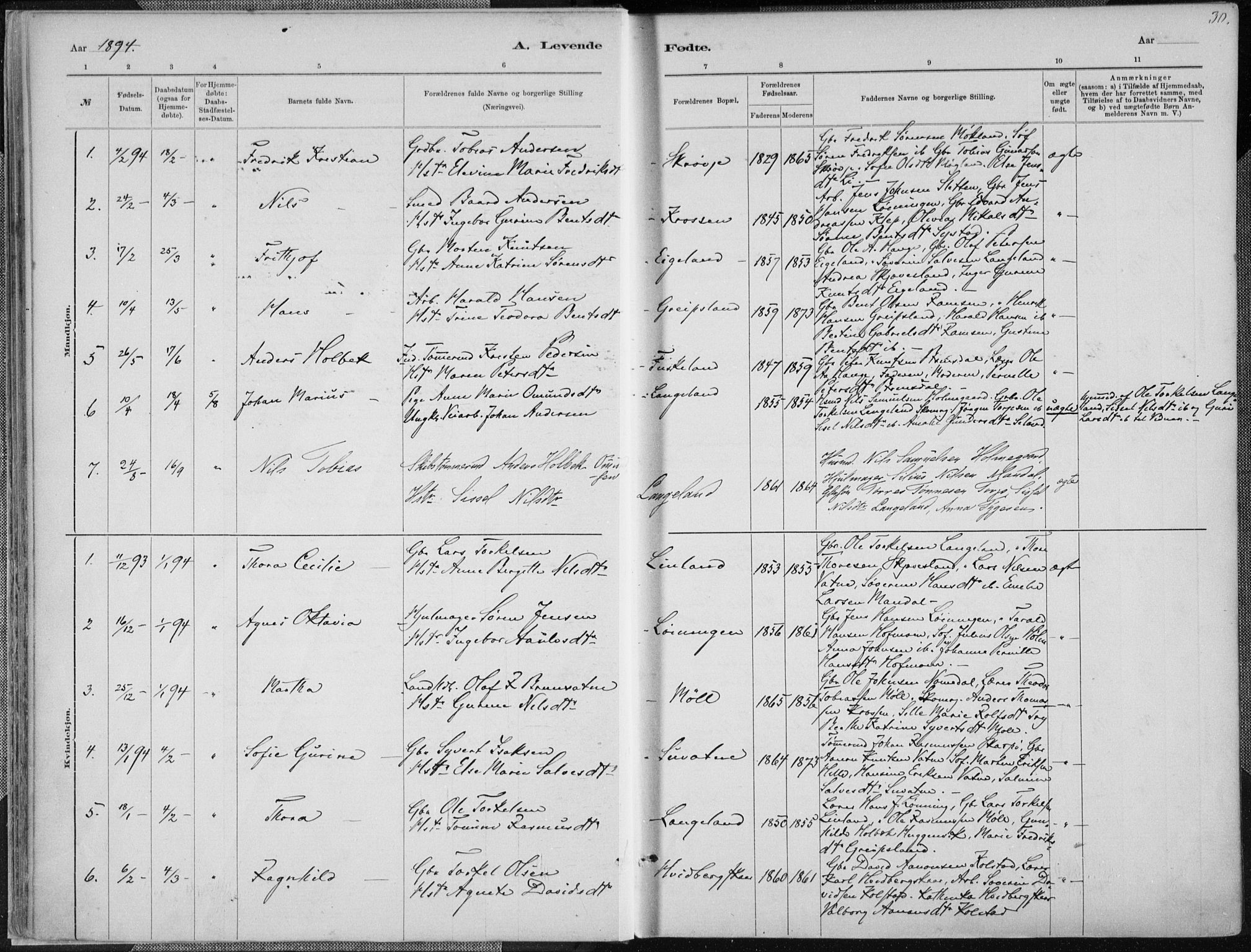 Holum sokneprestkontor, SAK/1111-0022/F/Fa/Faa/L0007: Parish register (official) no. A 7, 1884-1907, p. 30