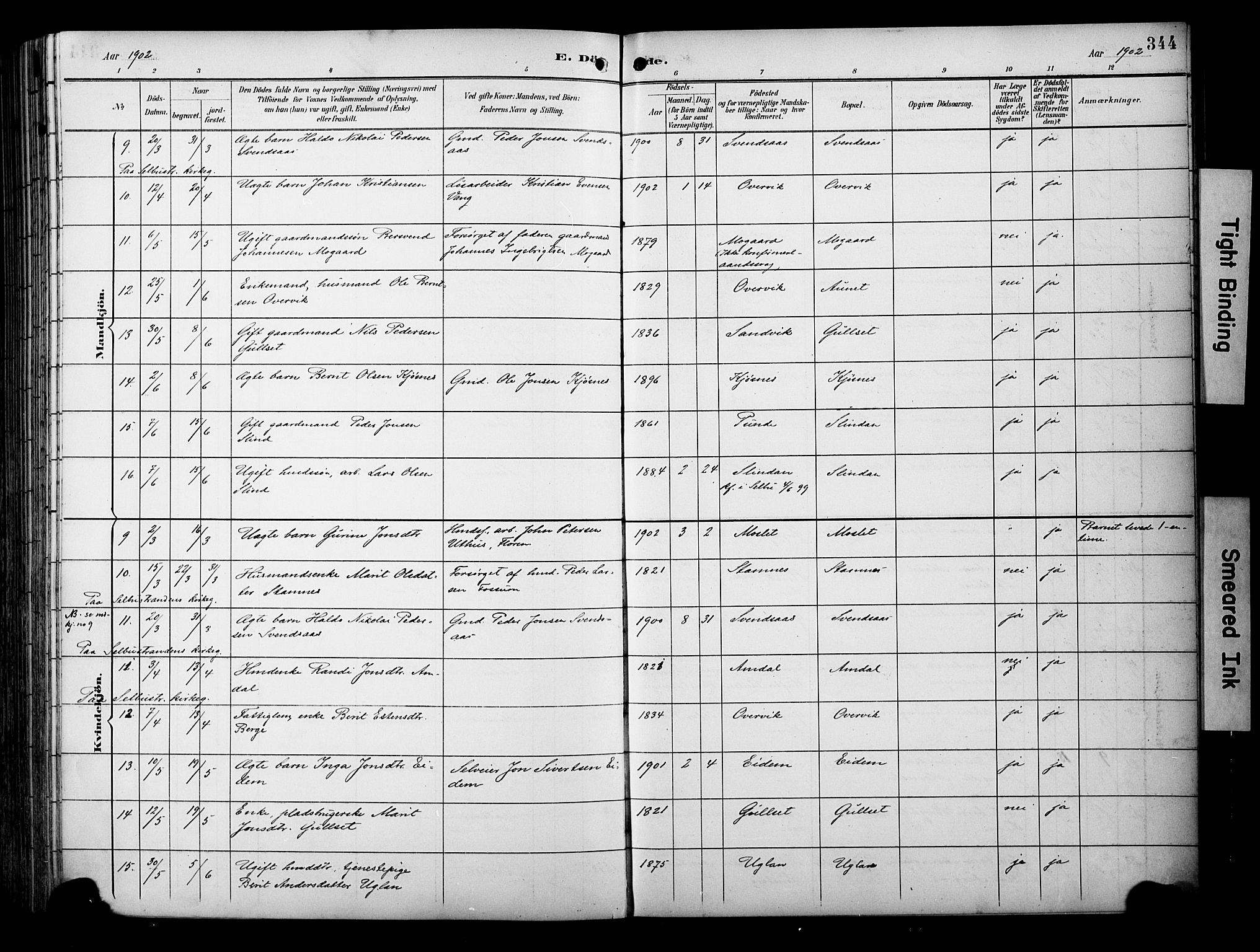 Ministerialprotokoller, klokkerbøker og fødselsregistre - Sør-Trøndelag, SAT/A-1456/695/L1149: Parish register (official) no. 695A09, 1891-1902, p. 344