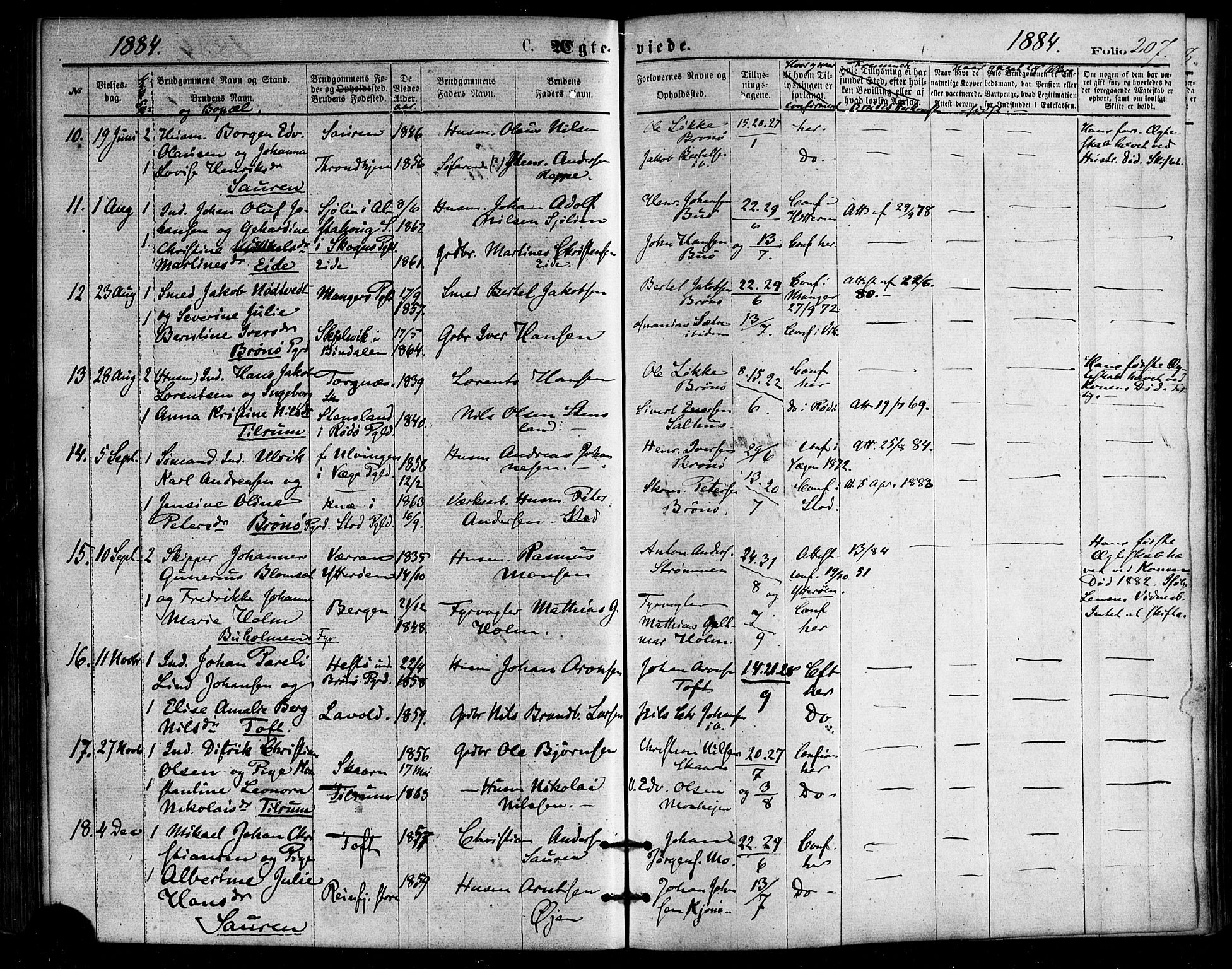 Ministerialprotokoller, klokkerbøker og fødselsregistre - Nordland, SAT/A-1459/813/L0199: Parish register (official) no. 813A09, 1875-1885, p. 207