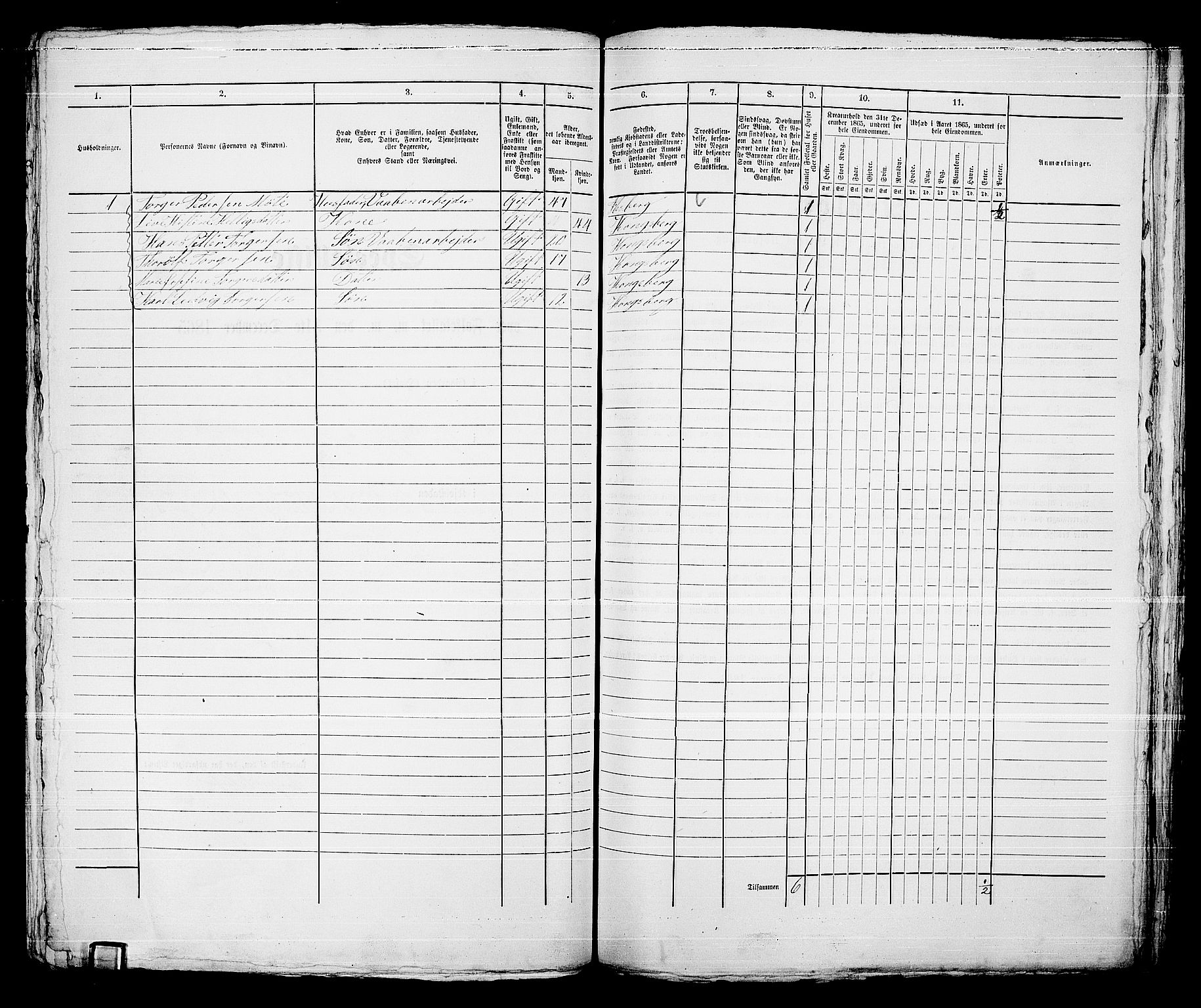 RA, 1865 census for Kongsberg/Kongsberg, 1865, p. 1263