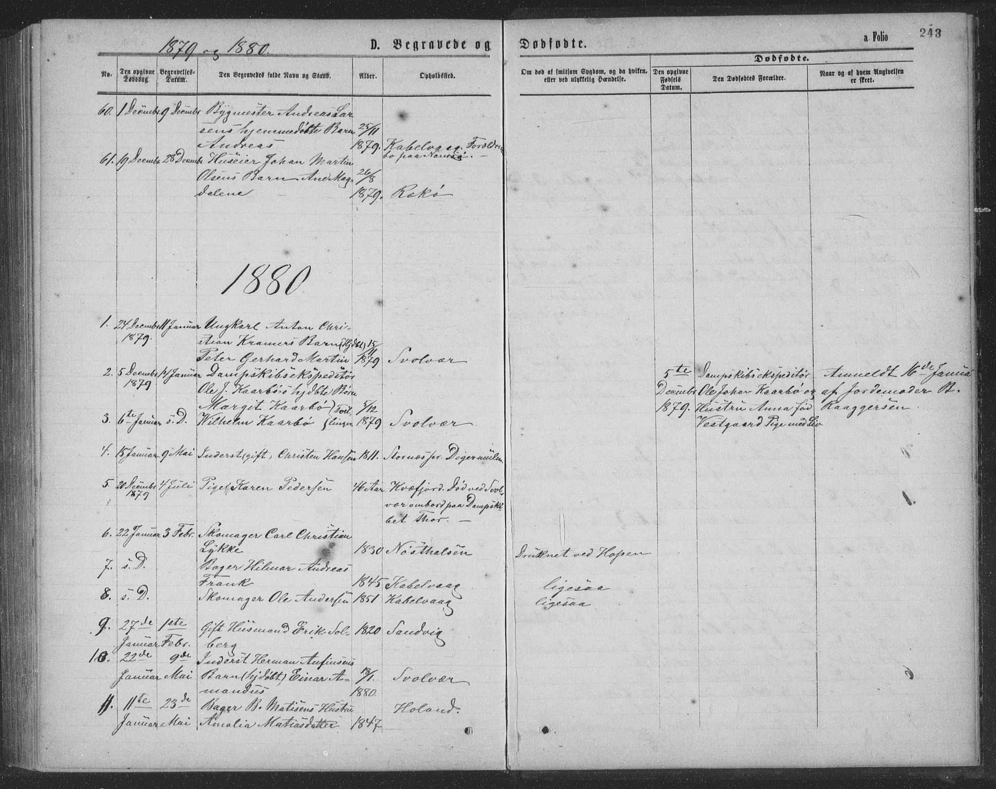 Ministerialprotokoller, klokkerbøker og fødselsregistre - Nordland, SAT/A-1459/874/L1075: Parish register (copy) no. 874C04, 1876-1883, p. 243