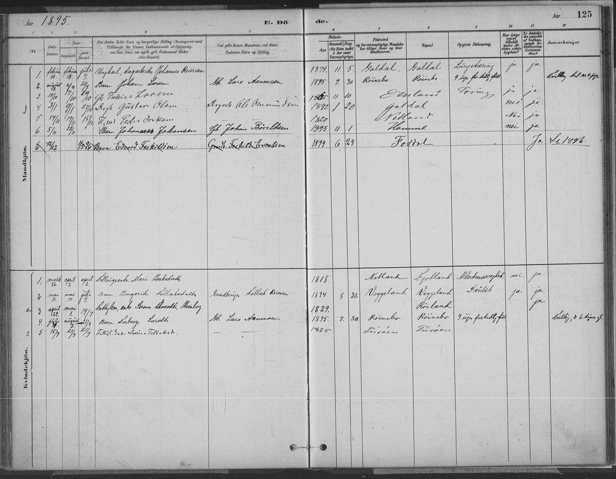 Fjotland sokneprestkontor, AV/SAK-1111-0010/F/Fa/L0002: Parish register (official) no. A 2, 1880-1898, p. 125