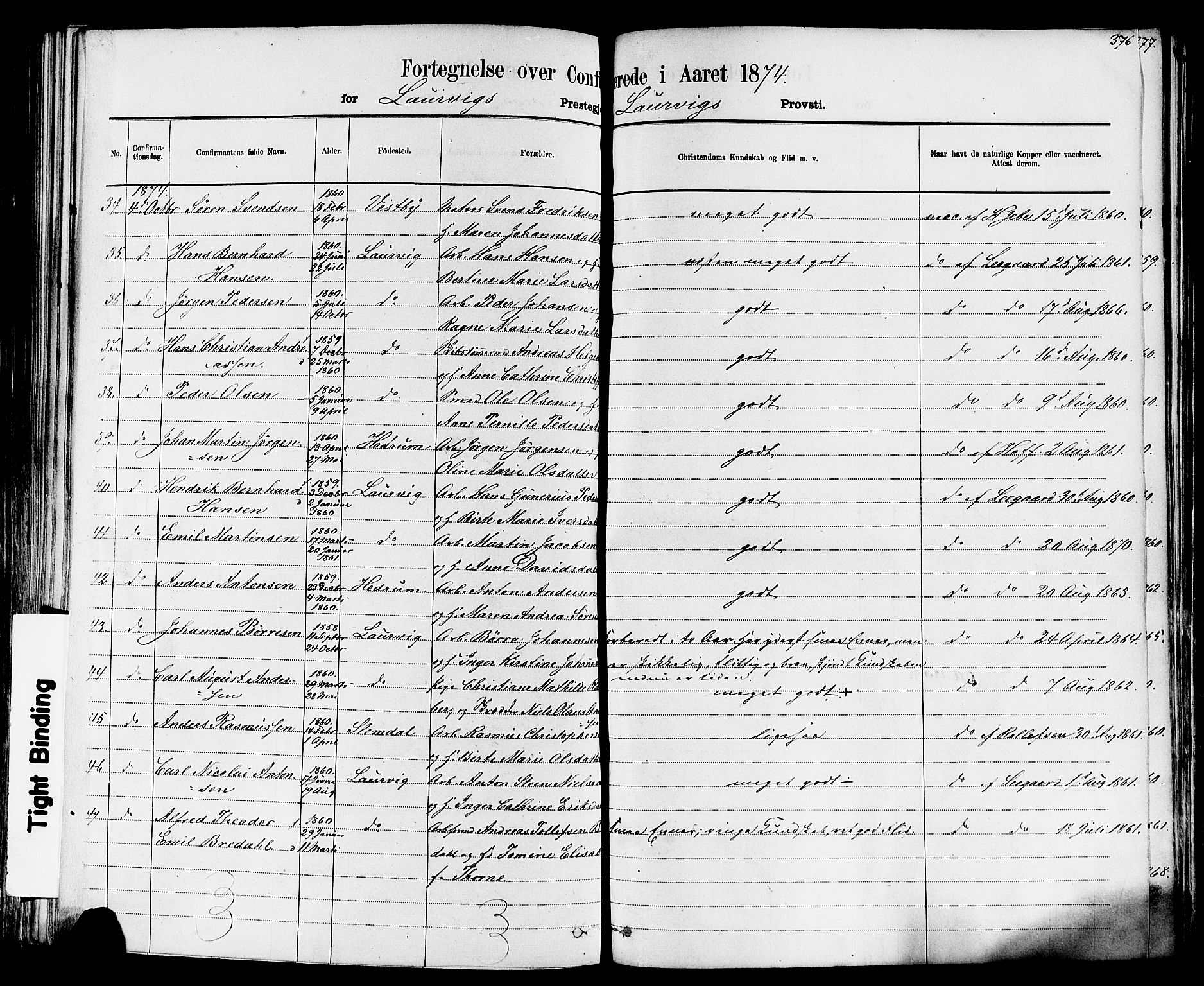 Larvik kirkebøker, AV/SAKO-A-352/F/Fa/L0006: Parish register (official) no. I 6, 1871-1883, p. 376