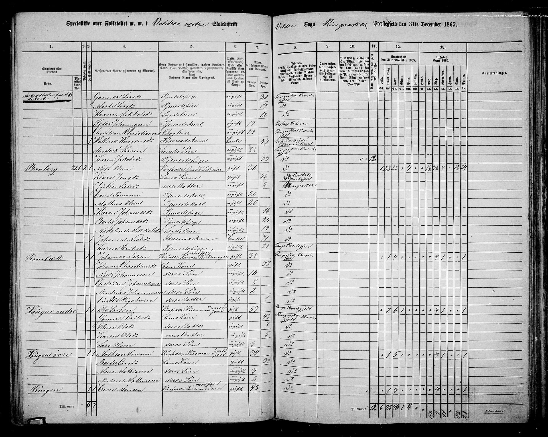 RA, 1865 census for Ringsaker, 1865, p. 166