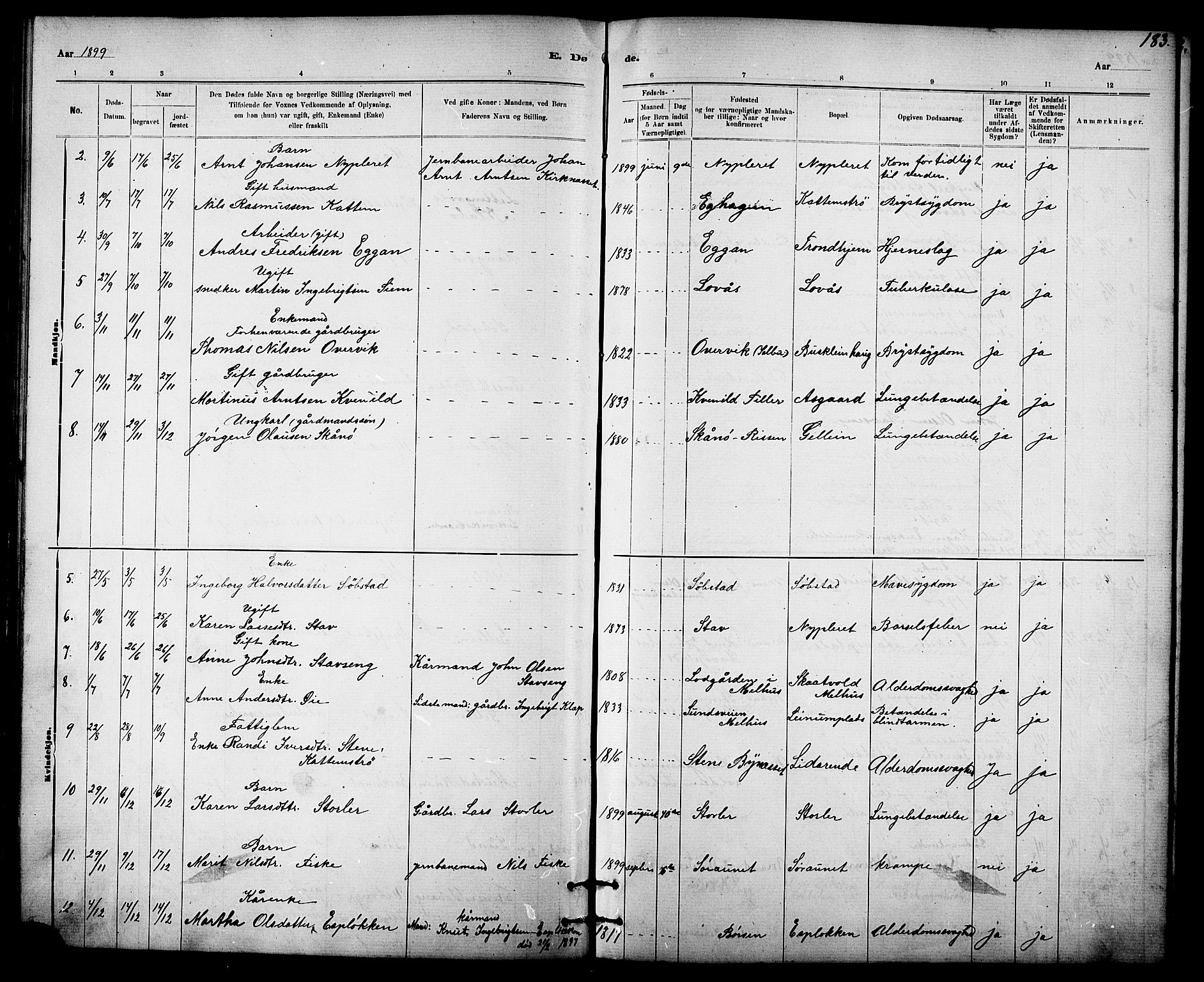Ministerialprotokoller, klokkerbøker og fødselsregistre - Sør-Trøndelag, SAT/A-1456/613/L0395: Parish register (copy) no. 613C03, 1887-1909, p. 183