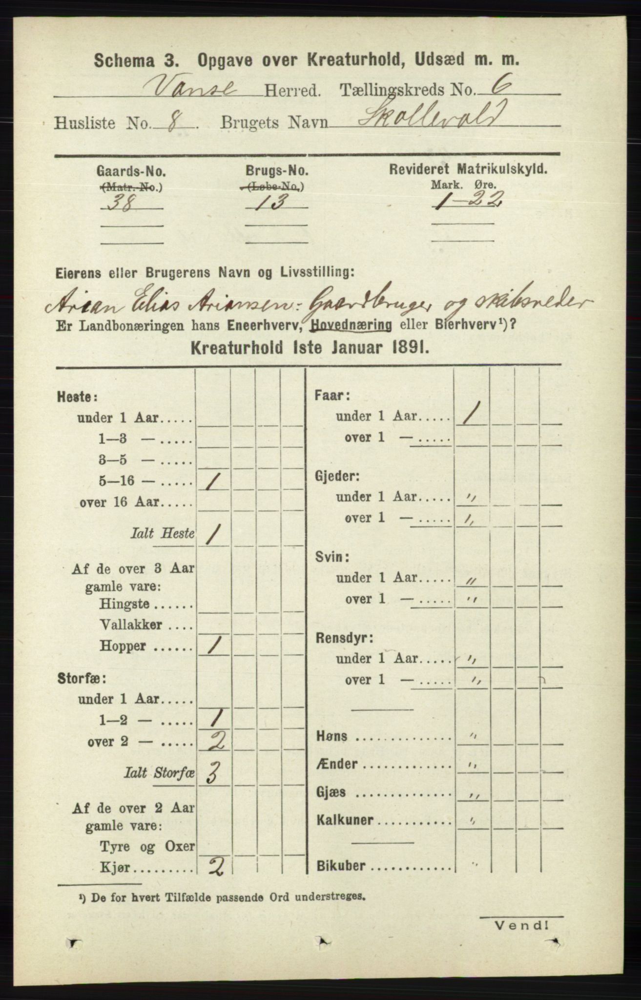 RA, 1891 census for 1041 Vanse, 1891, p. 8979