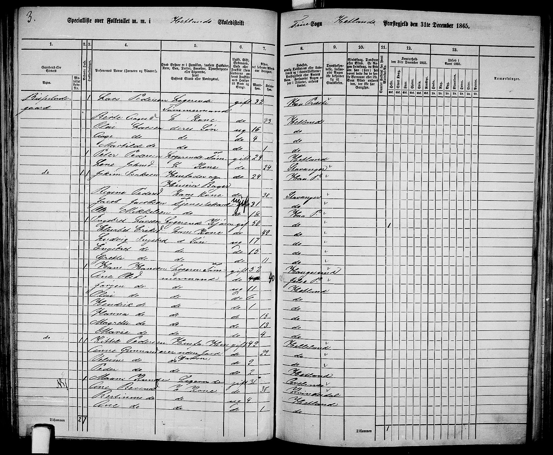 RA, 1865 census for Hetland, 1865, p. 130