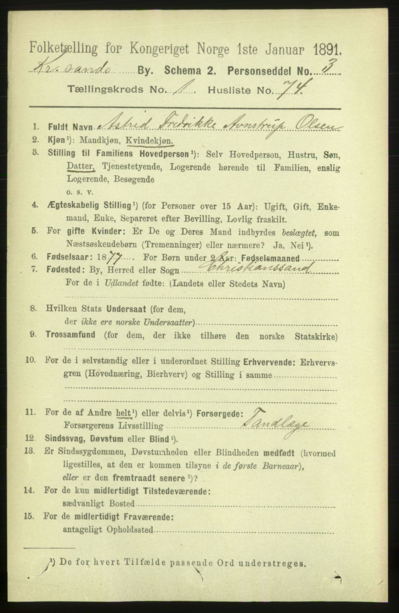 RA, 1891 census for 1001 Kristiansand, 1891, p. 3181