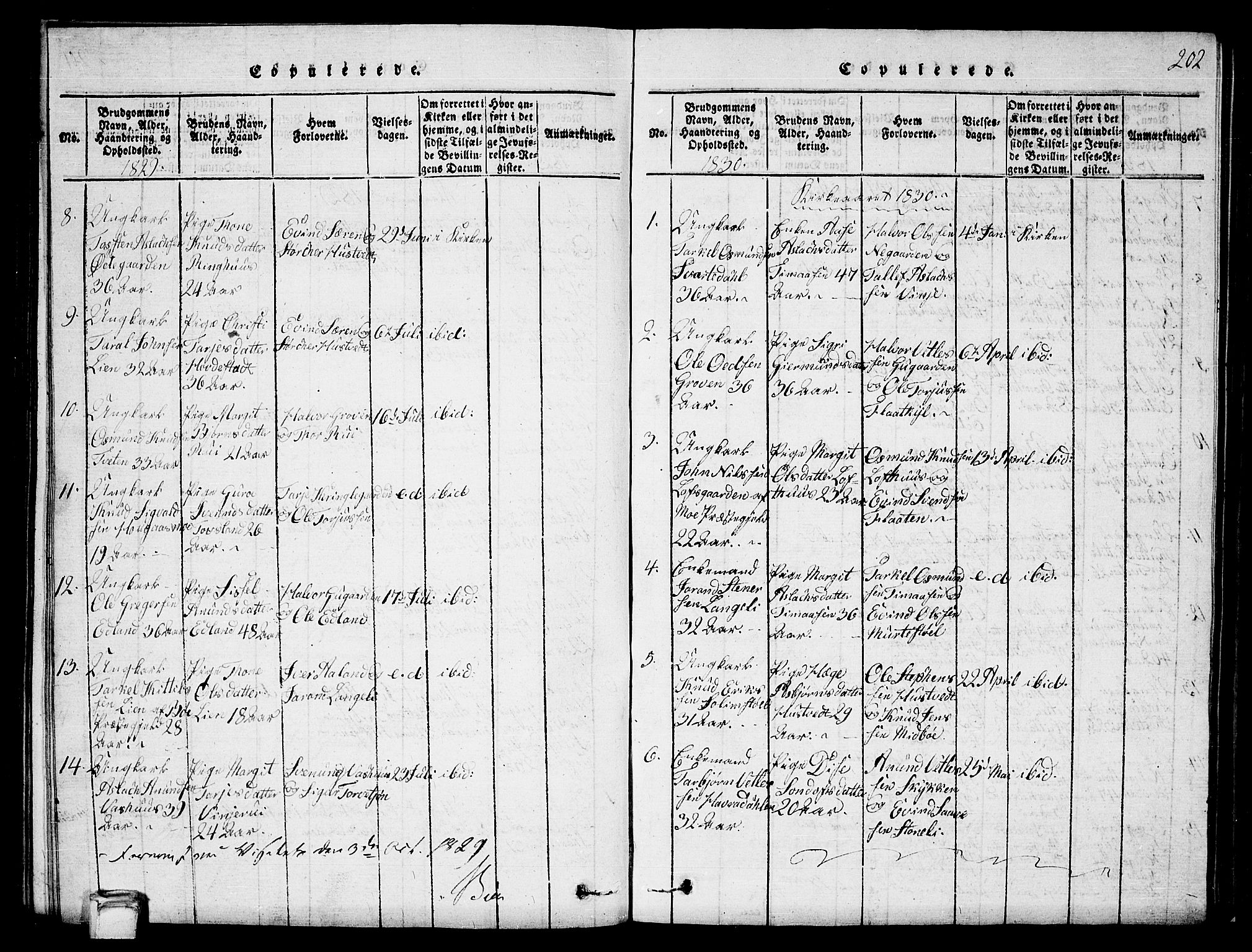 Vinje kirkebøker, SAKO/A-312/G/Ga/L0001: Parish register (copy) no. I 1, 1814-1843, p. 202