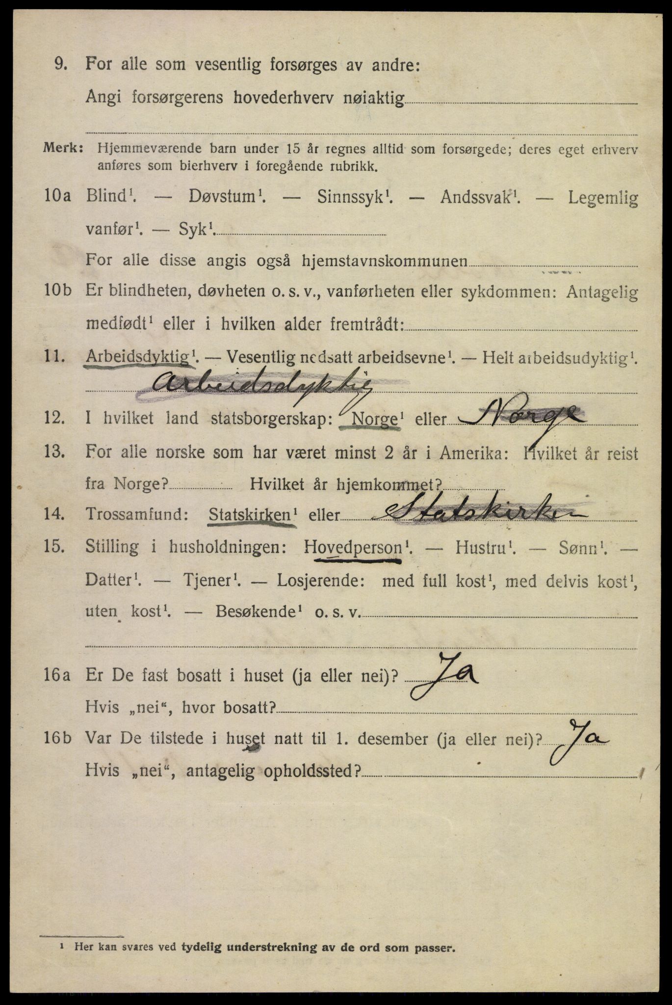 SAKO, 1920 census for Borre, 1920, p. 1423