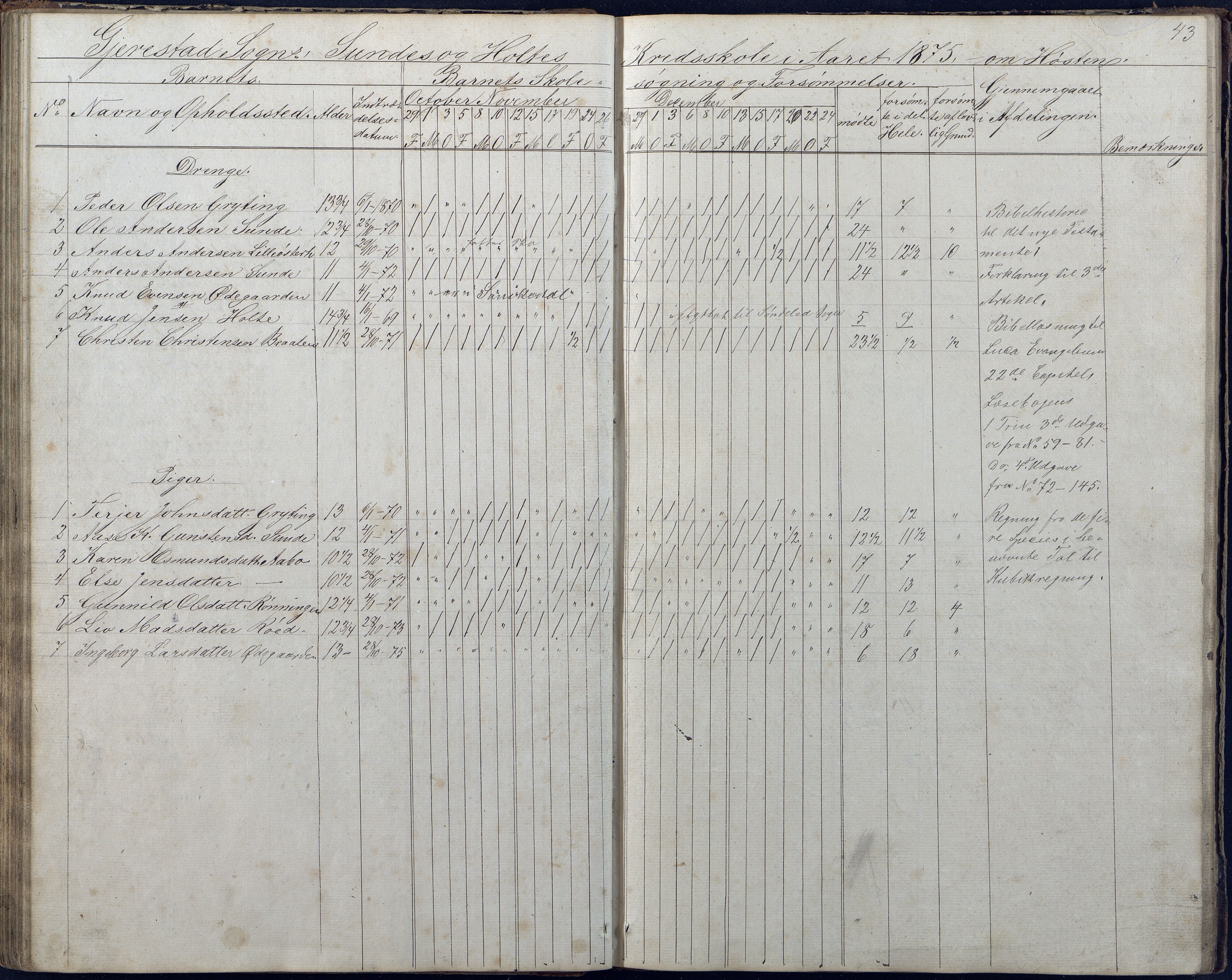 Gjerstad Kommune, Sunde Skole, AAKS/KA0911-550g/F01/L0001: Dagbok Sunde og Holt skole, 1863-1877, p. 43