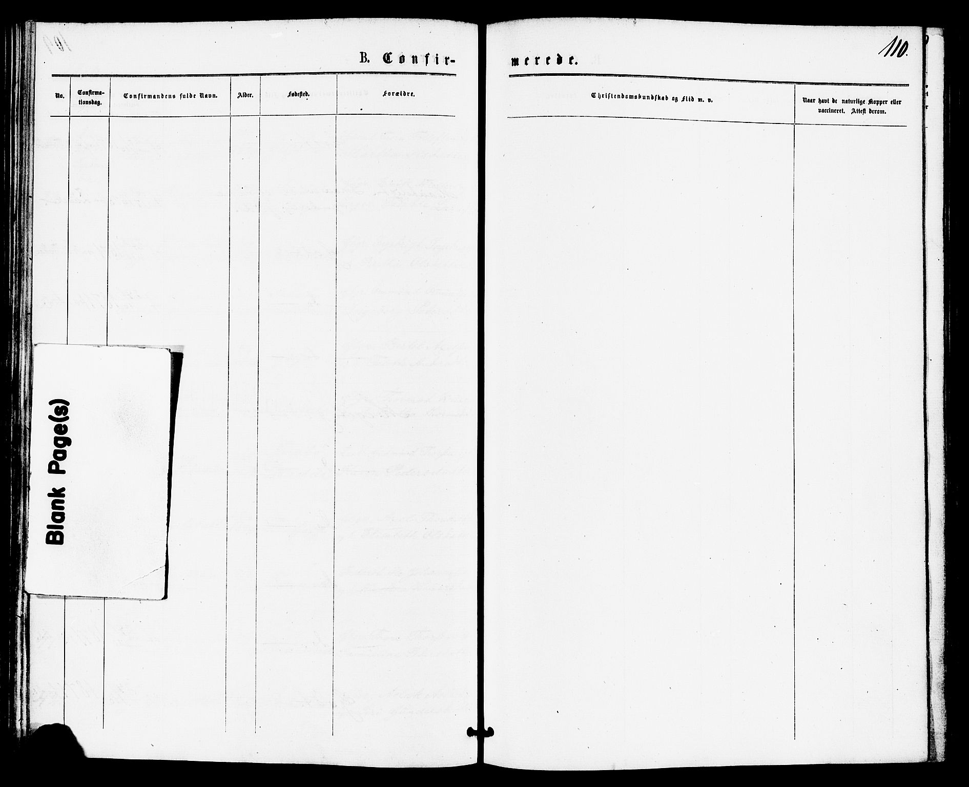 Høgsfjord sokneprestkontor, SAST/A-101624/H/Ha/Haa/L0004: Parish register (official) no. A 4, 1876-1884, p. 110