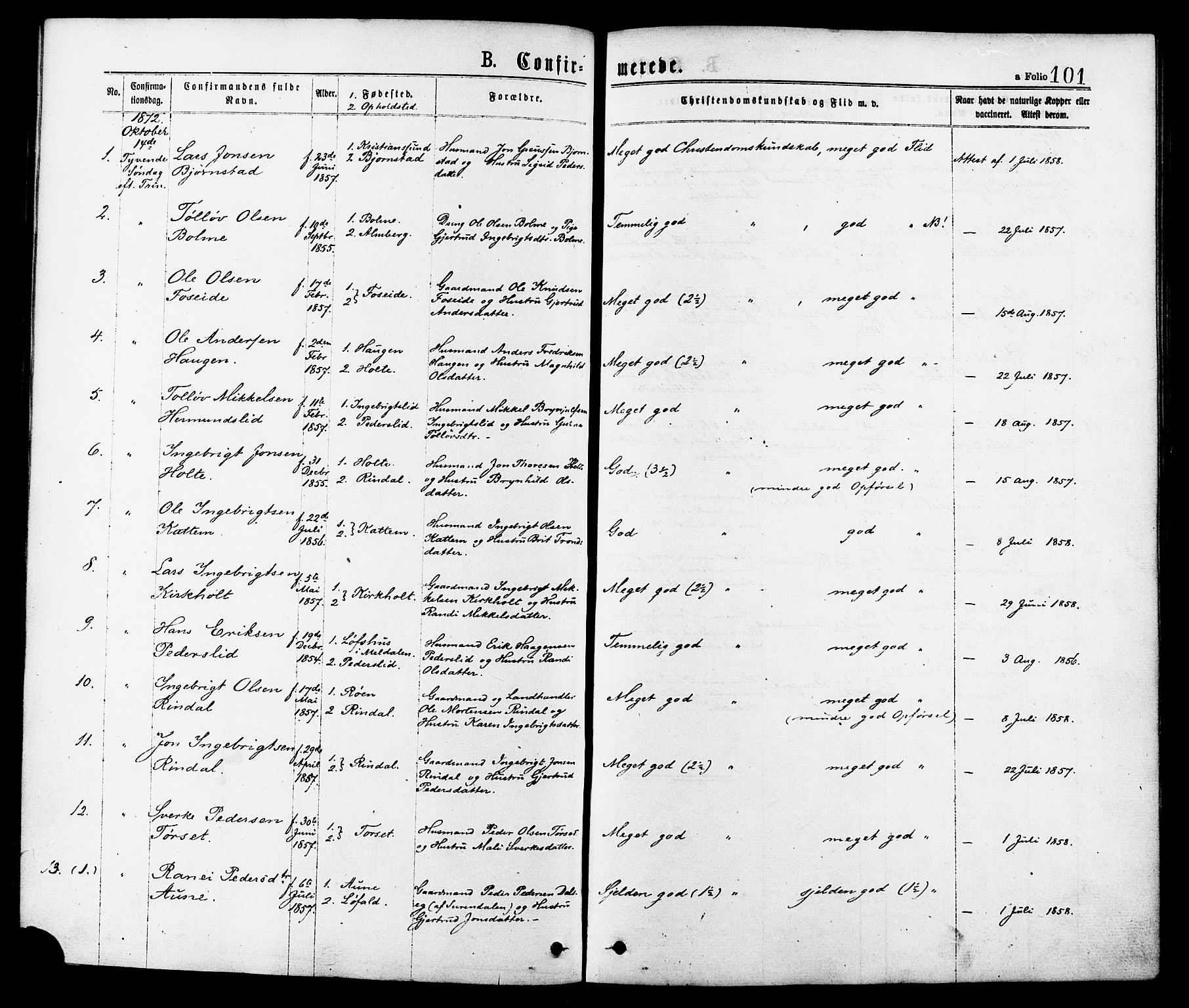 Ministerialprotokoller, klokkerbøker og fødselsregistre - Møre og Romsdal, SAT/A-1454/598/L1068: Parish register (official) no. 598A02, 1872-1881, p. 101