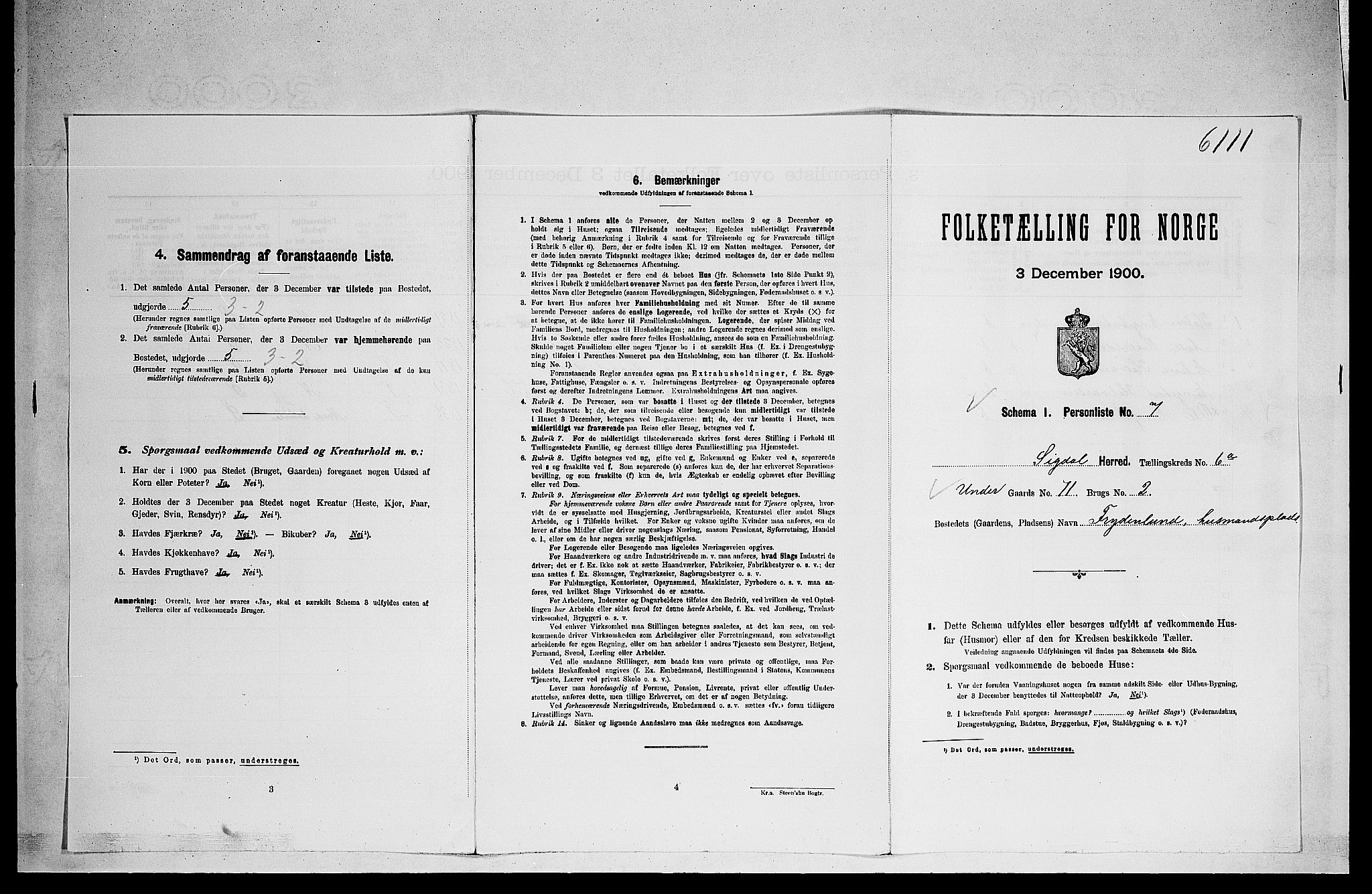 RA, 1900 census for Sigdal, 1900, p. 569