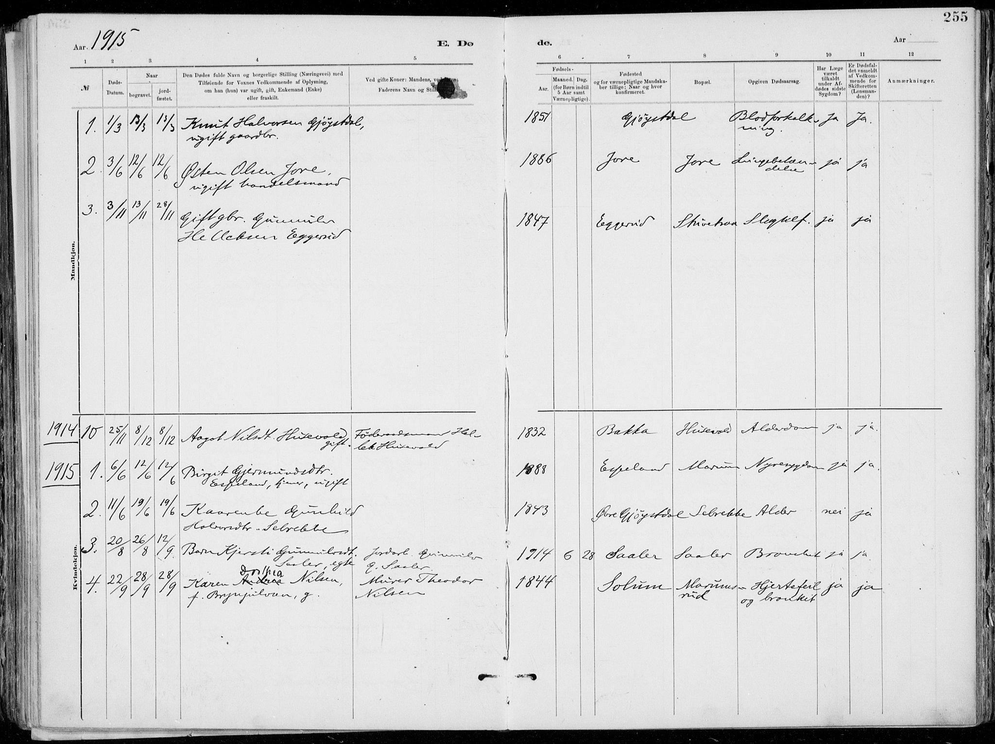 Tinn kirkebøker, SAKO/A-308/F/Fa/L0007: Parish register (official) no. I 7, 1878-1922, p. 255