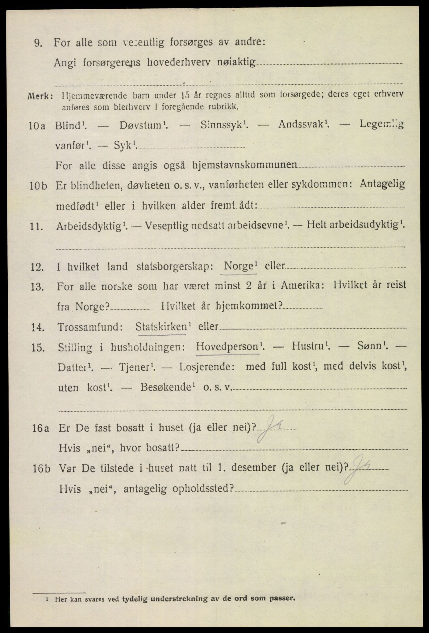 SAH, 1920 census for Vang (Hedmark), 1920, p. 11078