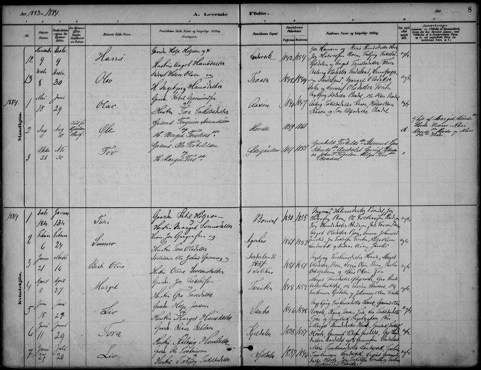 Hjartdal kirkebøker, SAKO/A-270/F/Fc/L0002: Parish register (official) no. III 2, 1880-1936, p. 8