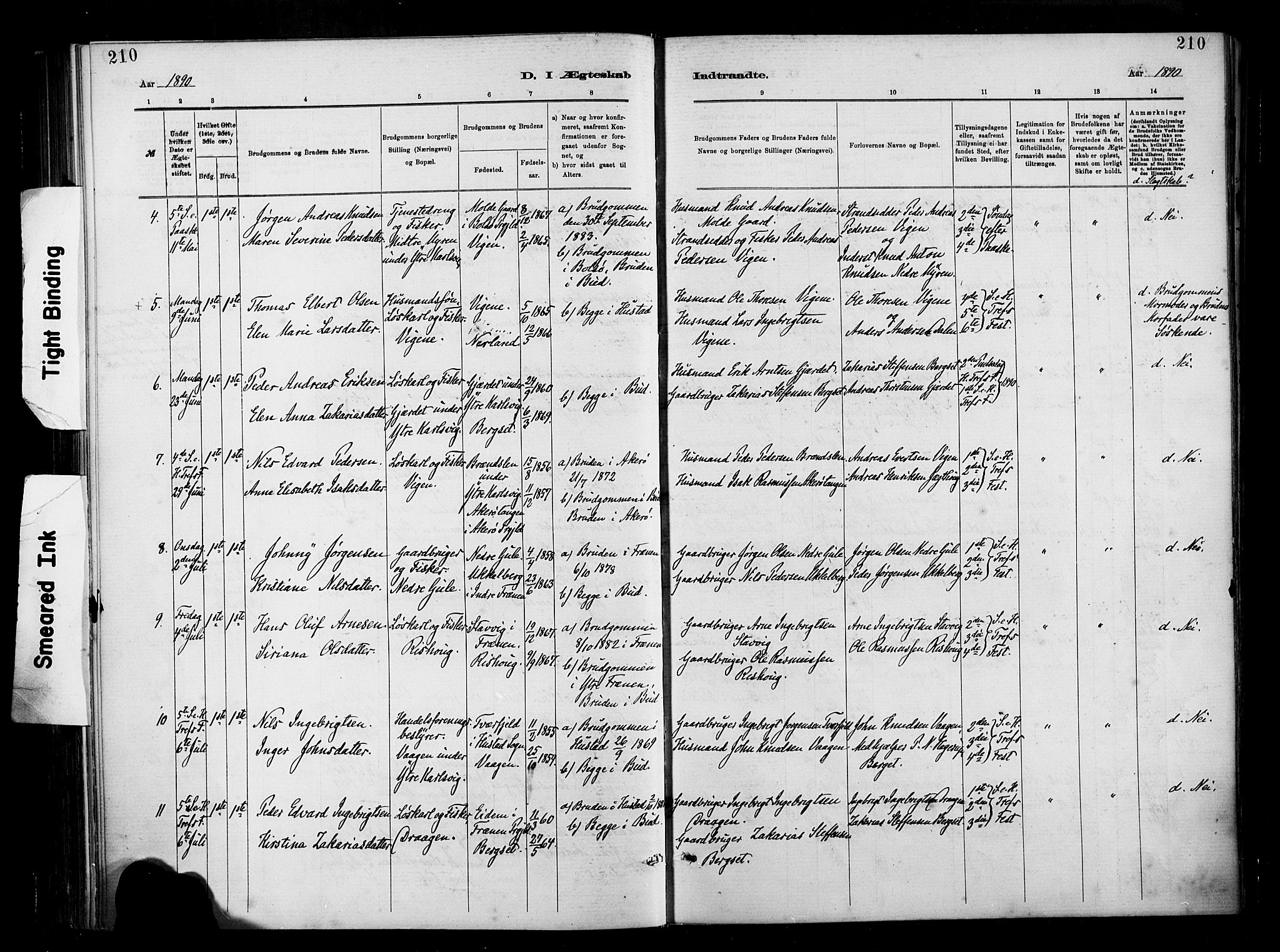 Ministerialprotokoller, klokkerbøker og fødselsregistre - Møre og Romsdal, AV/SAT-A-1454/566/L0769: Parish register (official) no. 566A08, 1881-1903, p. 210