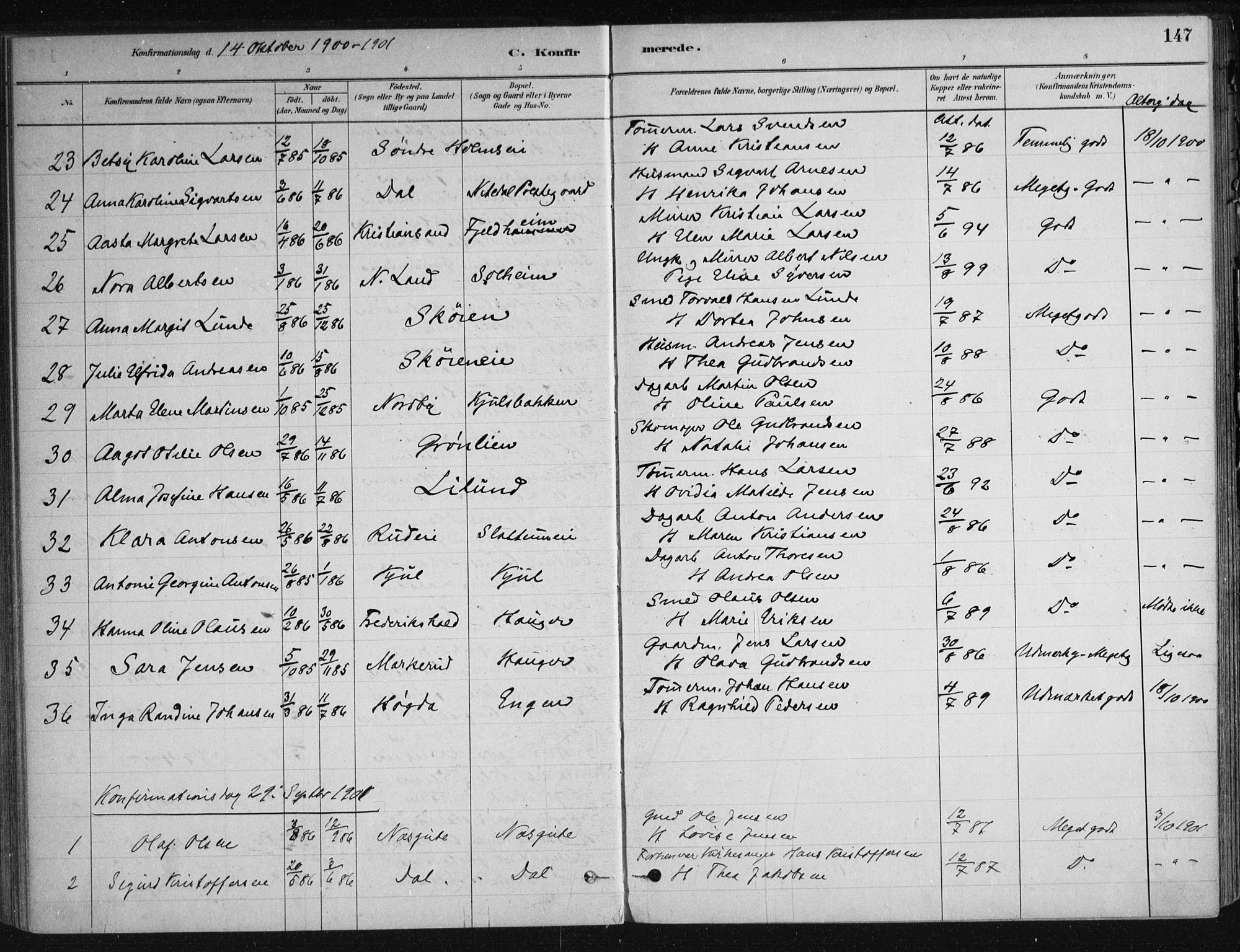 Nittedal prestekontor Kirkebøker, AV/SAO-A-10365a/F/Fa/L0007: Parish register (official) no. I 7, 1879-1901, p. 147