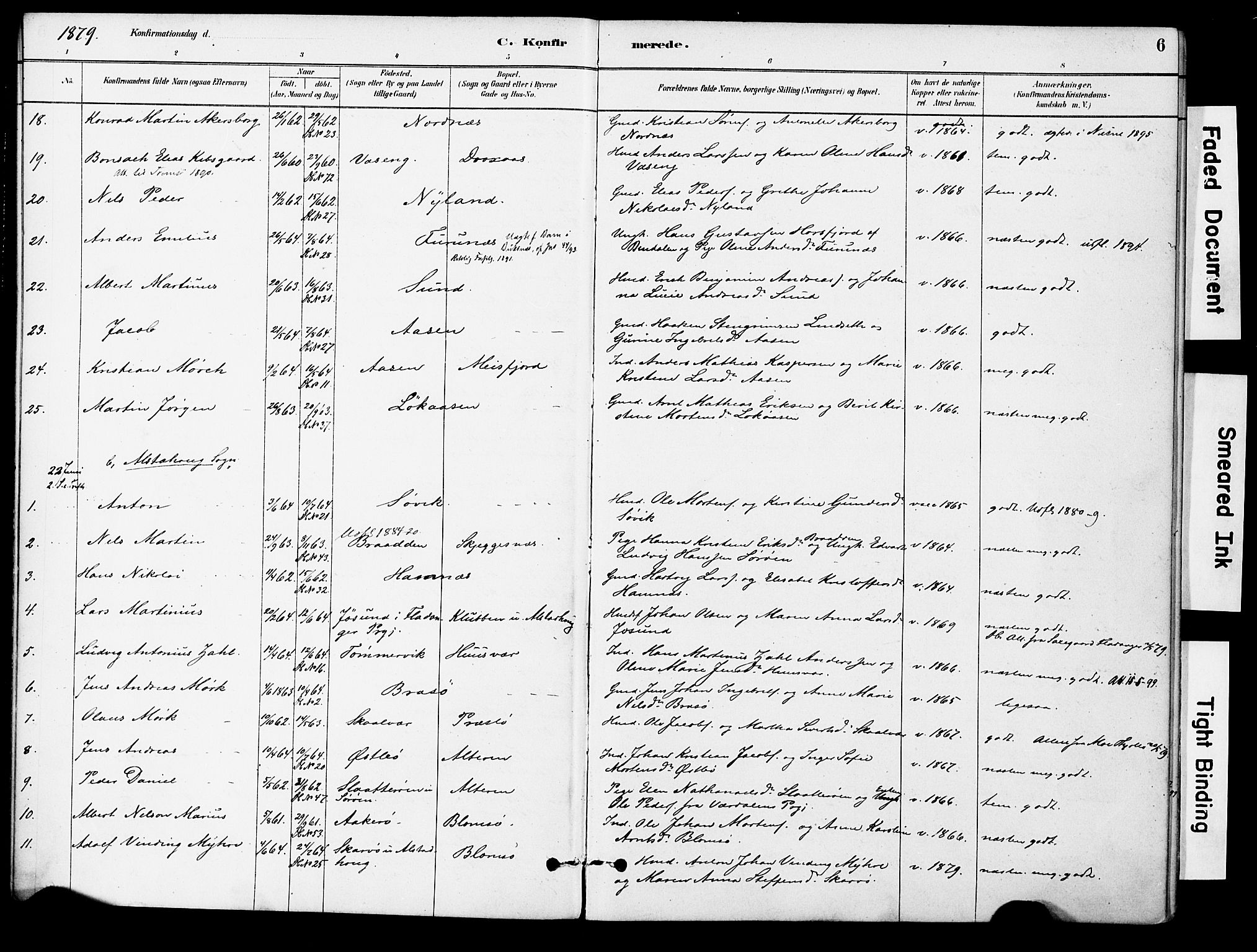 Ministerialprotokoller, klokkerbøker og fødselsregistre - Nordland, AV/SAT-A-1459/830/L0450: Parish register (official) no. 830A14, 1879-1896, p. 6