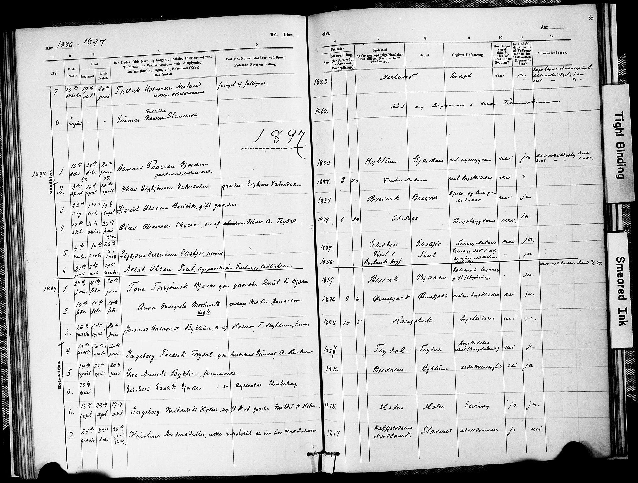 Valle sokneprestkontor, SAK/1111-0044/F/Fa/Faa/L0001: Parish register (official) no. A 1, 1882-1907, p. 113