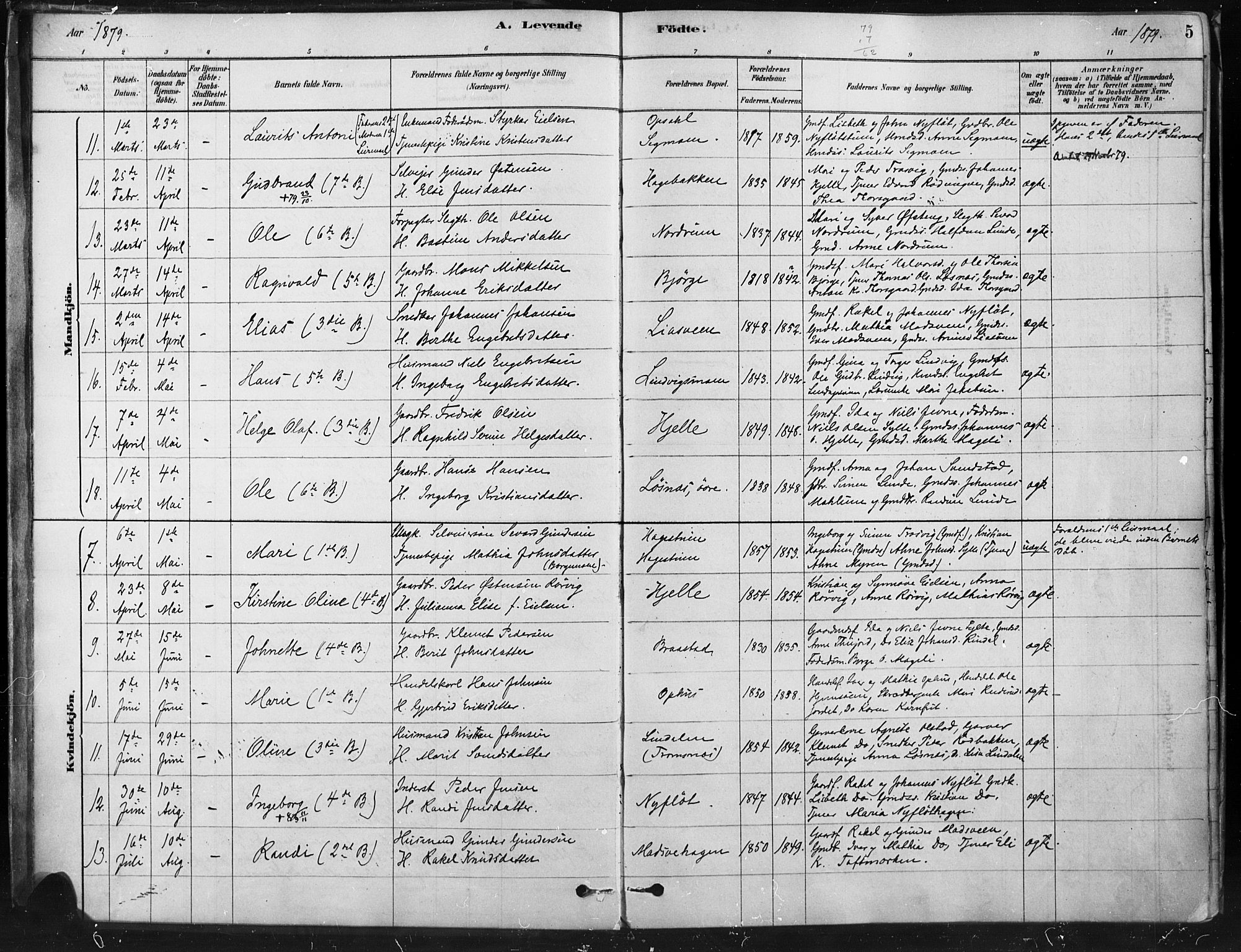 Ringebu prestekontor, AV/SAH-PREST-082/H/Ha/Haa/L0009: Parish register (official) no. 9, 1878-1898, p. 5