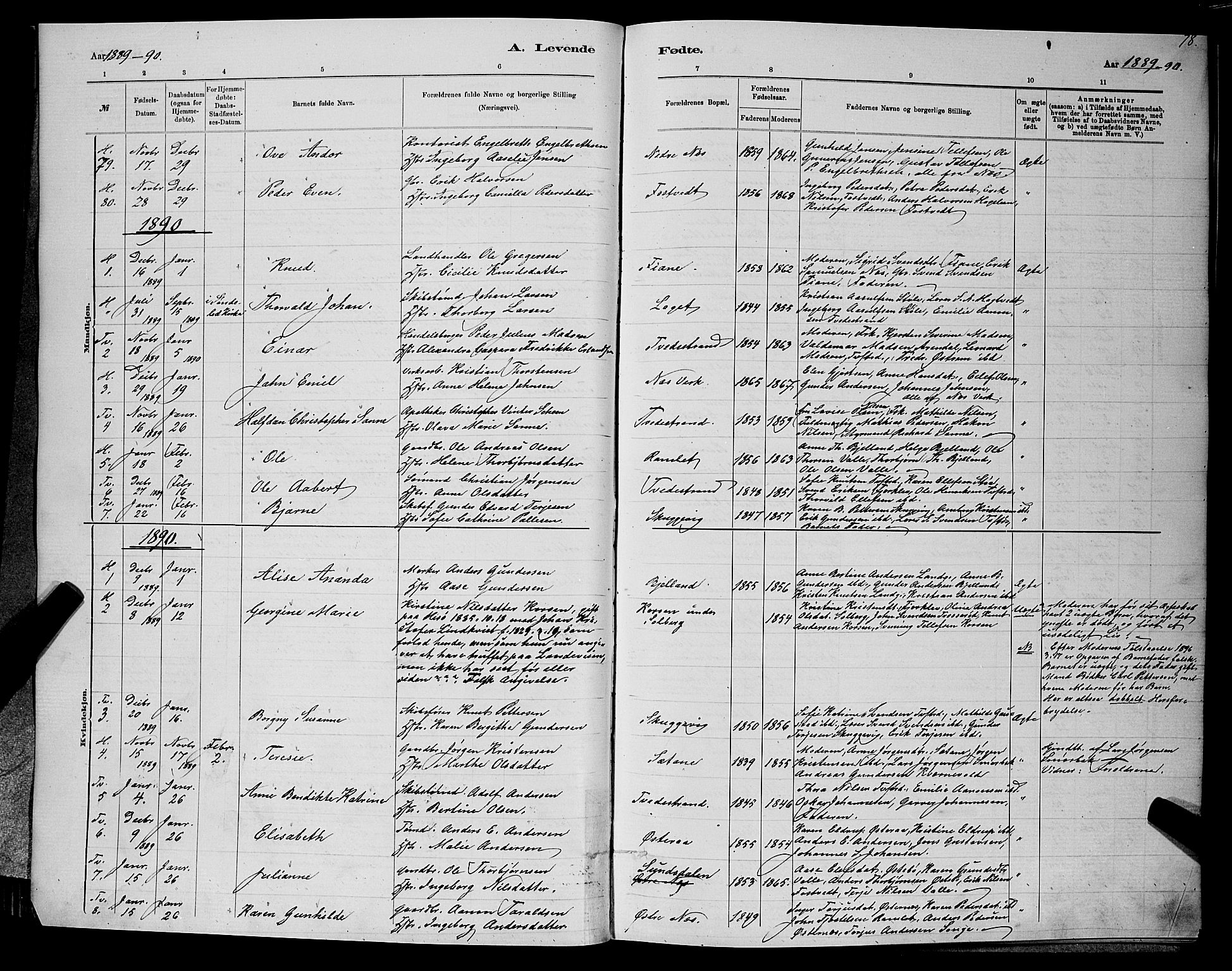 Holt sokneprestkontor, AV/SAK-1111-0021/F/Fb/L0010: Parish register (copy) no. B 10, 1883-1896, p. 78