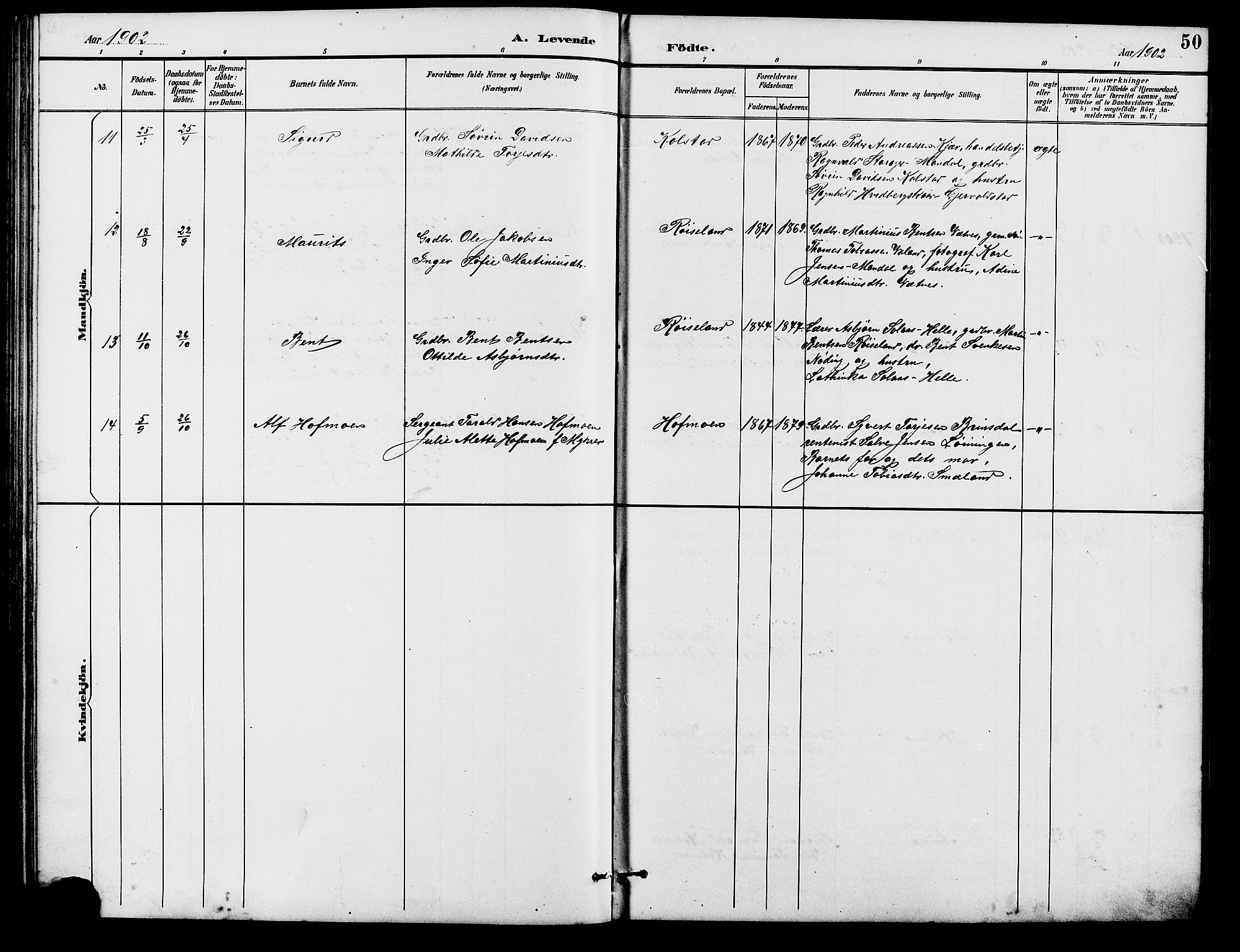 Holum sokneprestkontor, SAK/1111-0022/F/Fb/Fba/L0005: Parish register (copy) no. B 5, 1891-1909, p. 50