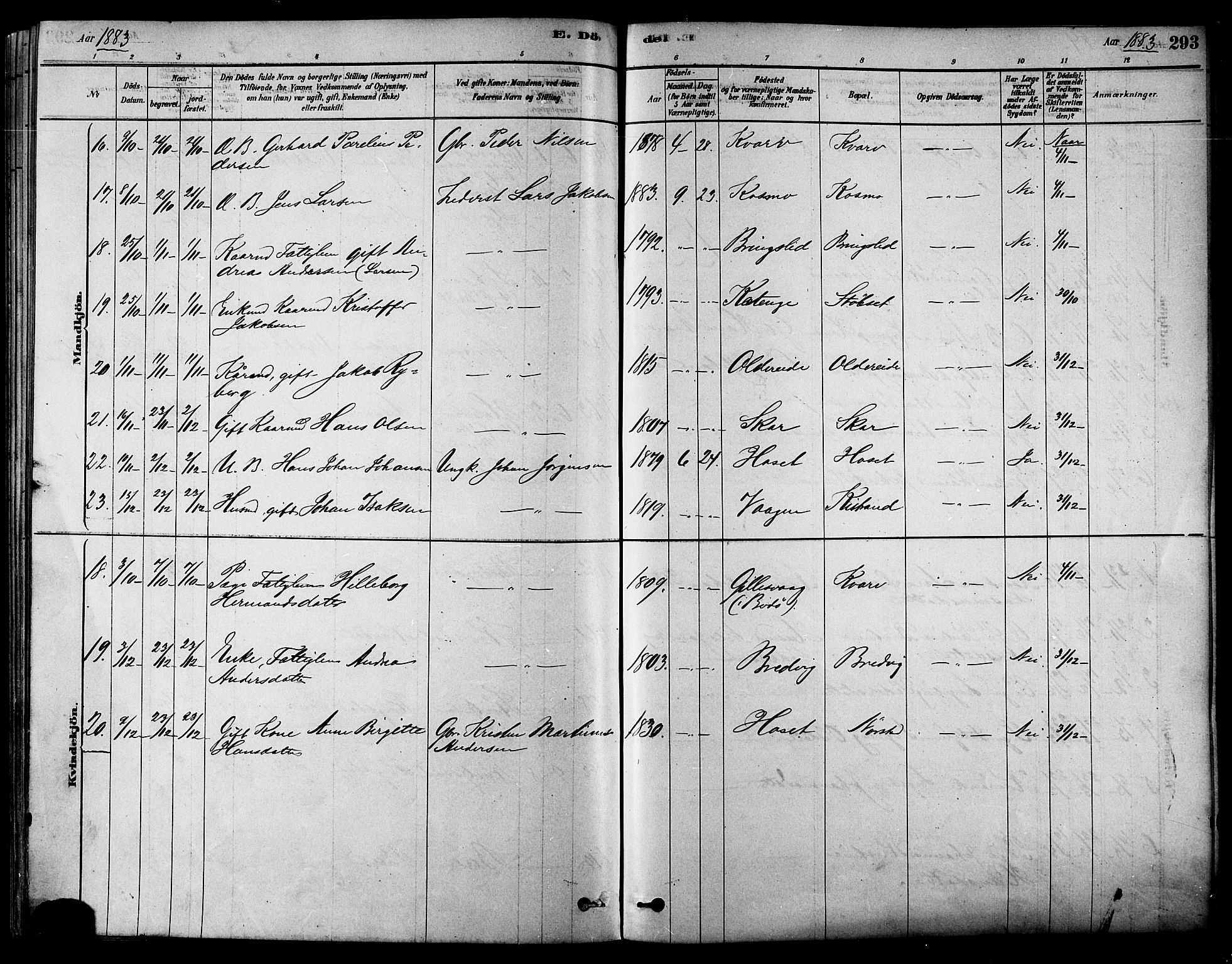 Ministerialprotokoller, klokkerbøker og fødselsregistre - Nordland, AV/SAT-A-1459/852/L0740: Parish register (official) no. 852A10, 1878-1894, p. 293