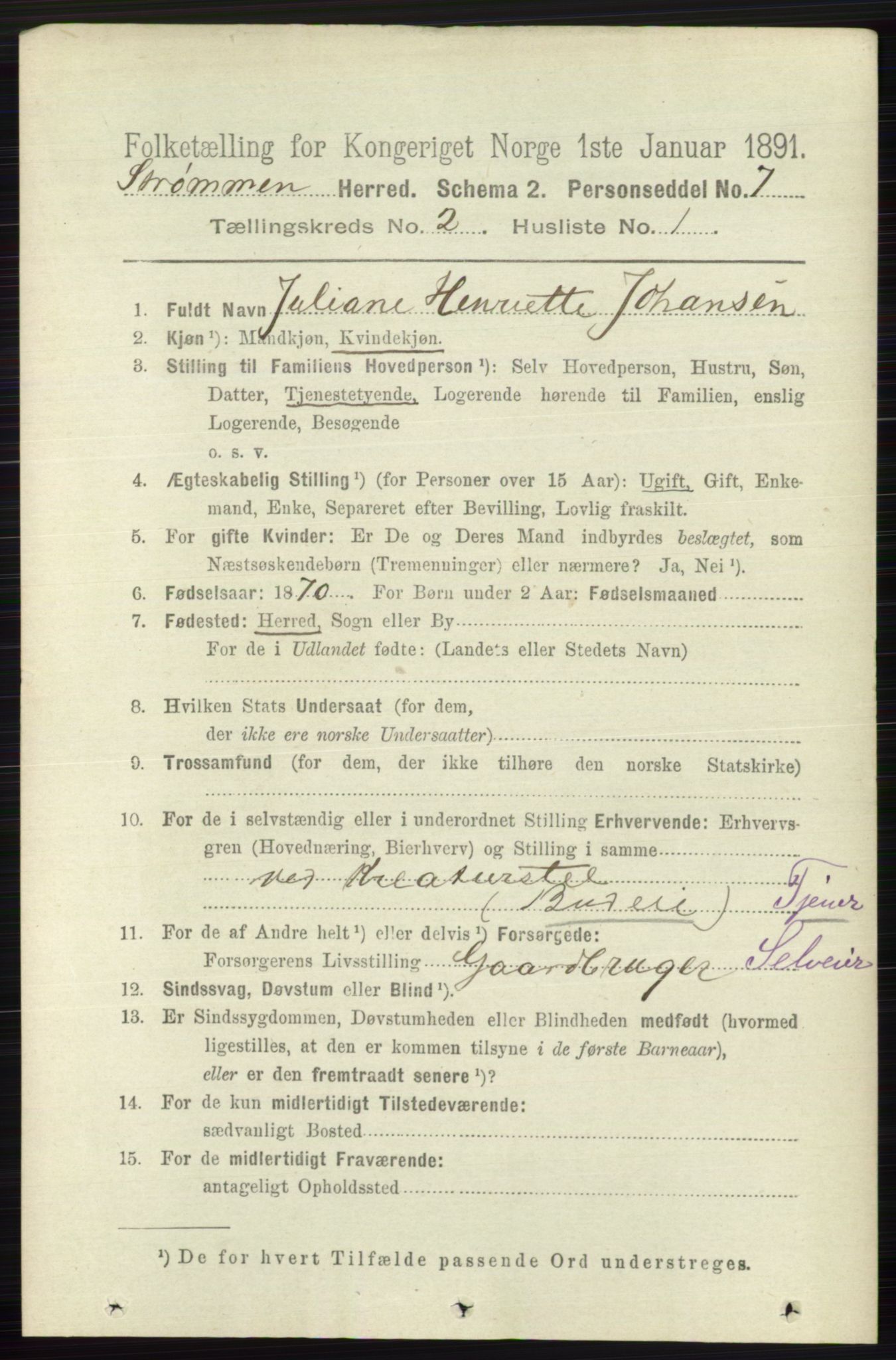 RA, 1891 census for 0711 Strømm, 1891, p. 702