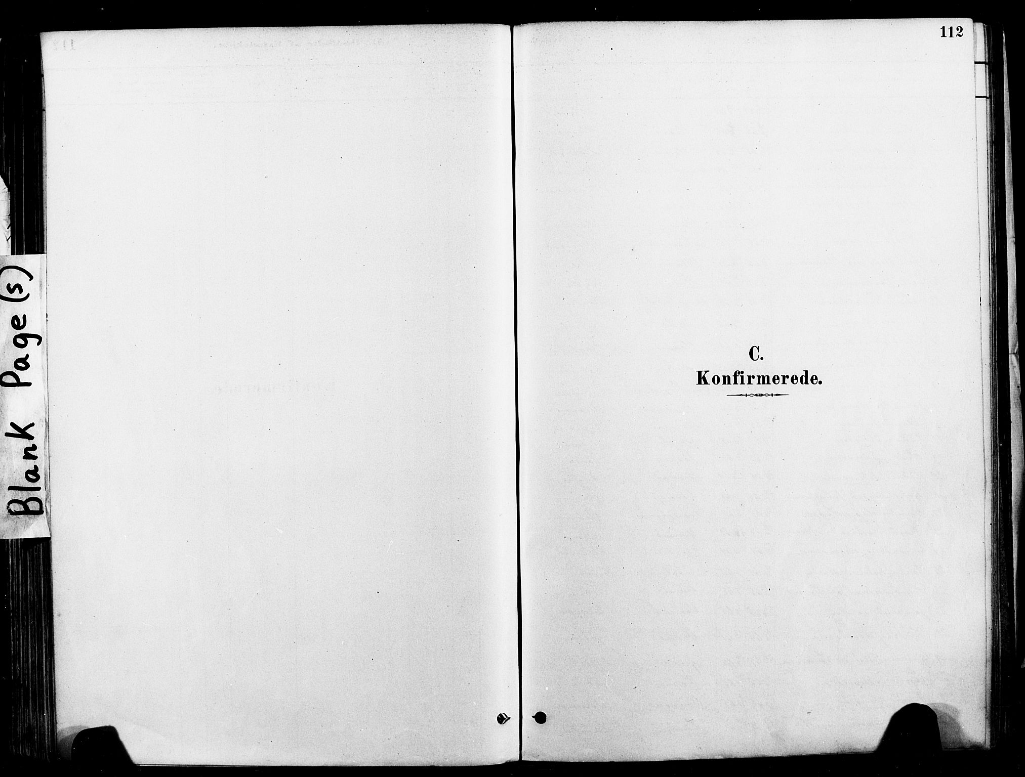 Ministerialprotokoller, klokkerbøker og fødselsregistre - Nord-Trøndelag, SAT/A-1458/709/L0077: Parish register (official) no. 709A17, 1880-1895, p. 112