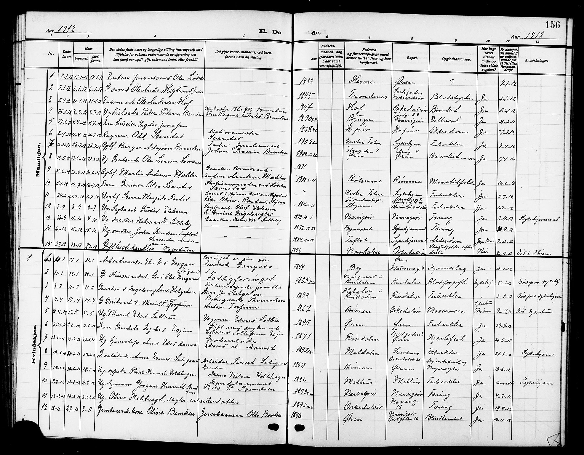 Ministerialprotokoller, klokkerbøker og fødselsregistre - Sør-Trøndelag, SAT/A-1456/669/L0831: Parish register (copy) no. 669C01, 1909-1924, p. 156