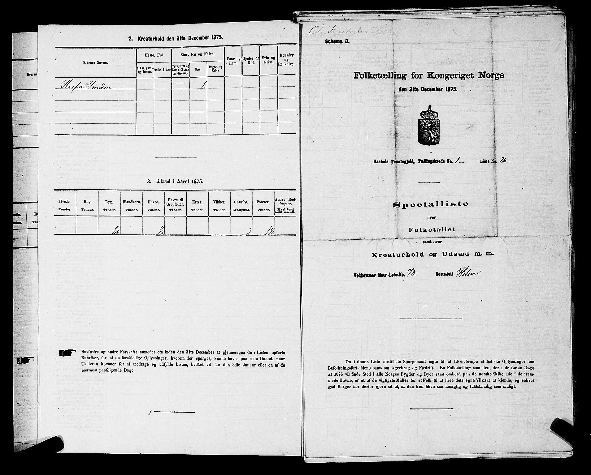 RA, 1875 census for 0138P Hobøl, 1875, p. 26