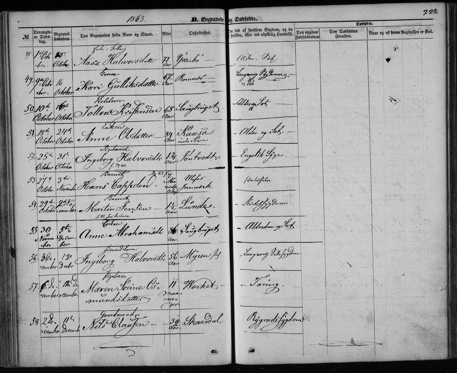 Holla kirkebøker, AV/SAKO-A-272/F/Fa/L0006: Parish register (official) no. 6, 1861-1869, p. 228