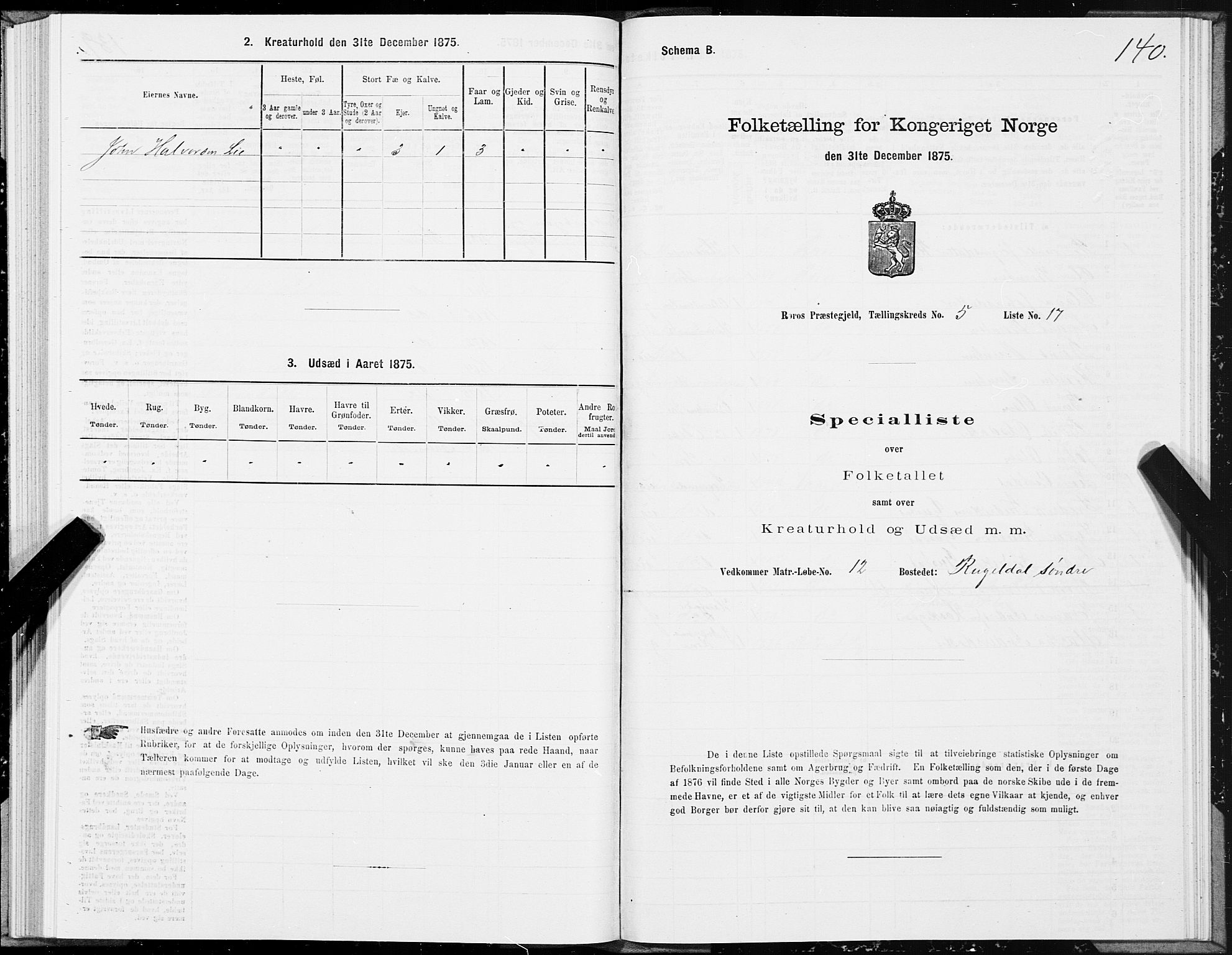 SAT, 1875 census for 1640P Røros, 1875, p. 3140